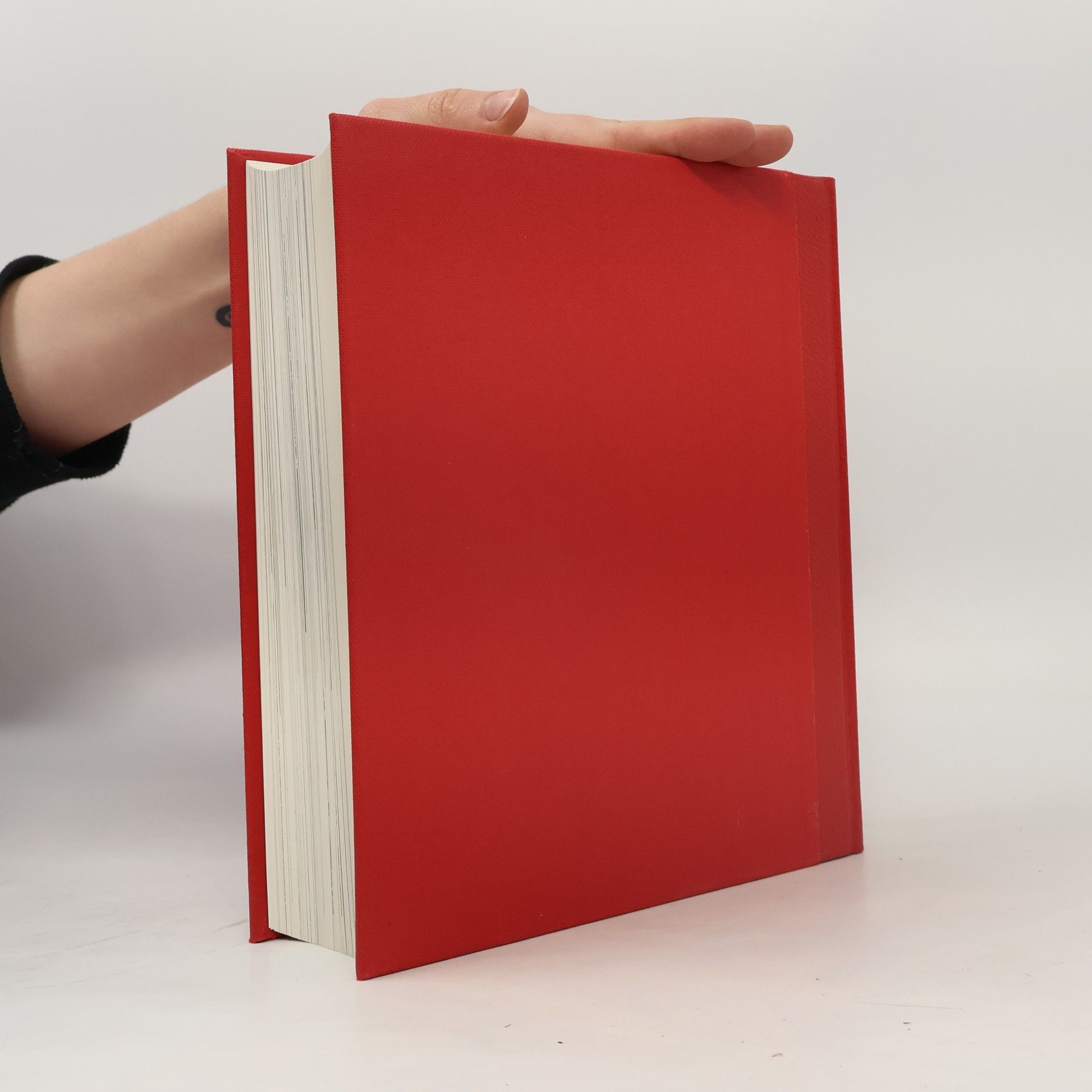 Autorenkollektiv Kindlers Malerei Lexikon. Band VI