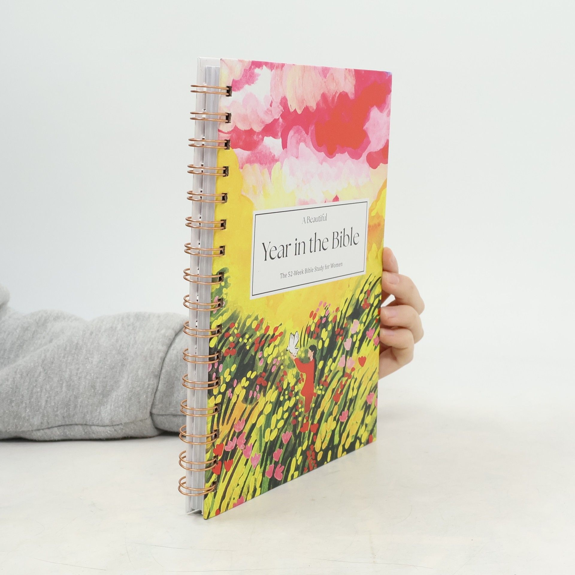 Autorenkollektiv A Beautiful Year in the Bible