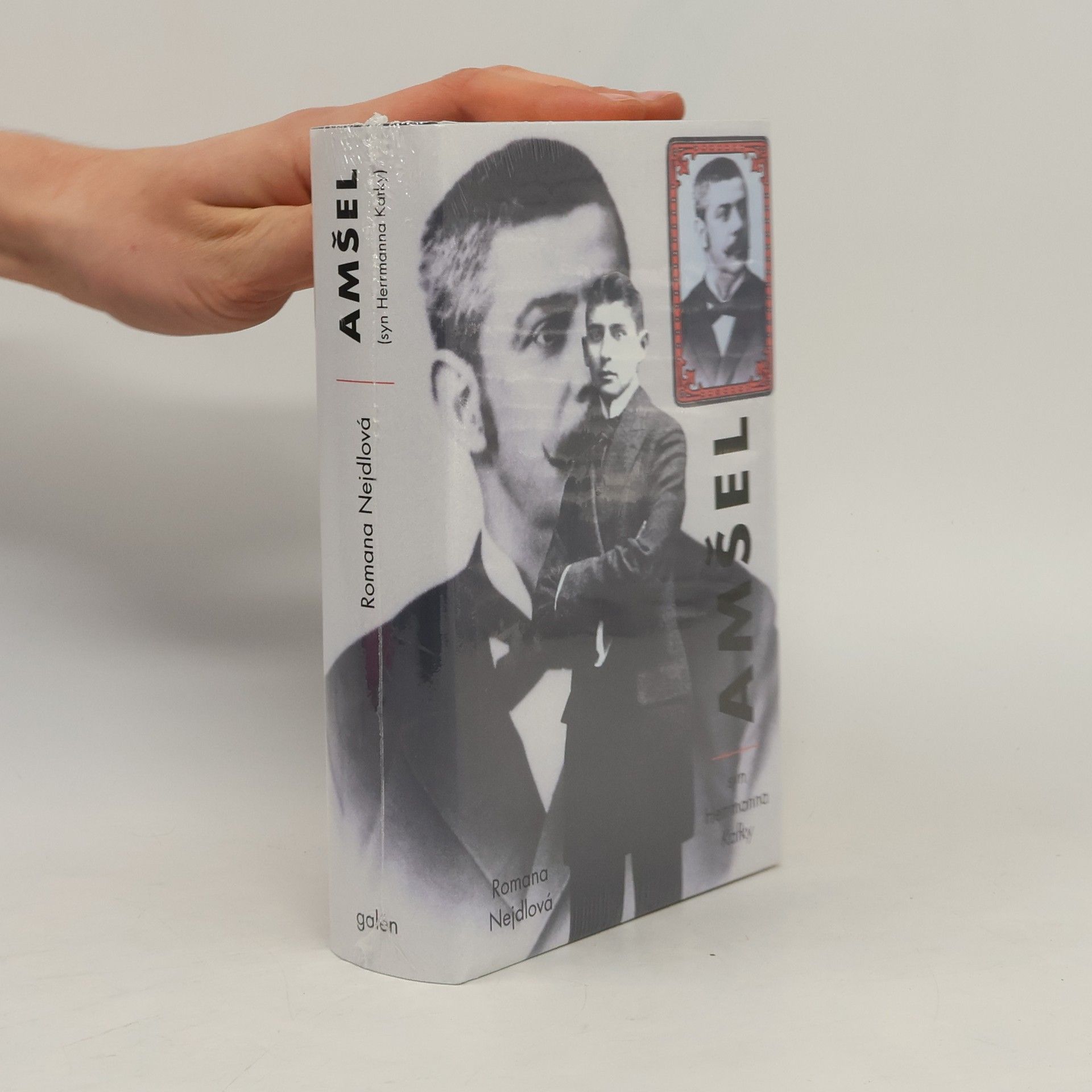 Amšel (syn Herrmanna Kafky)