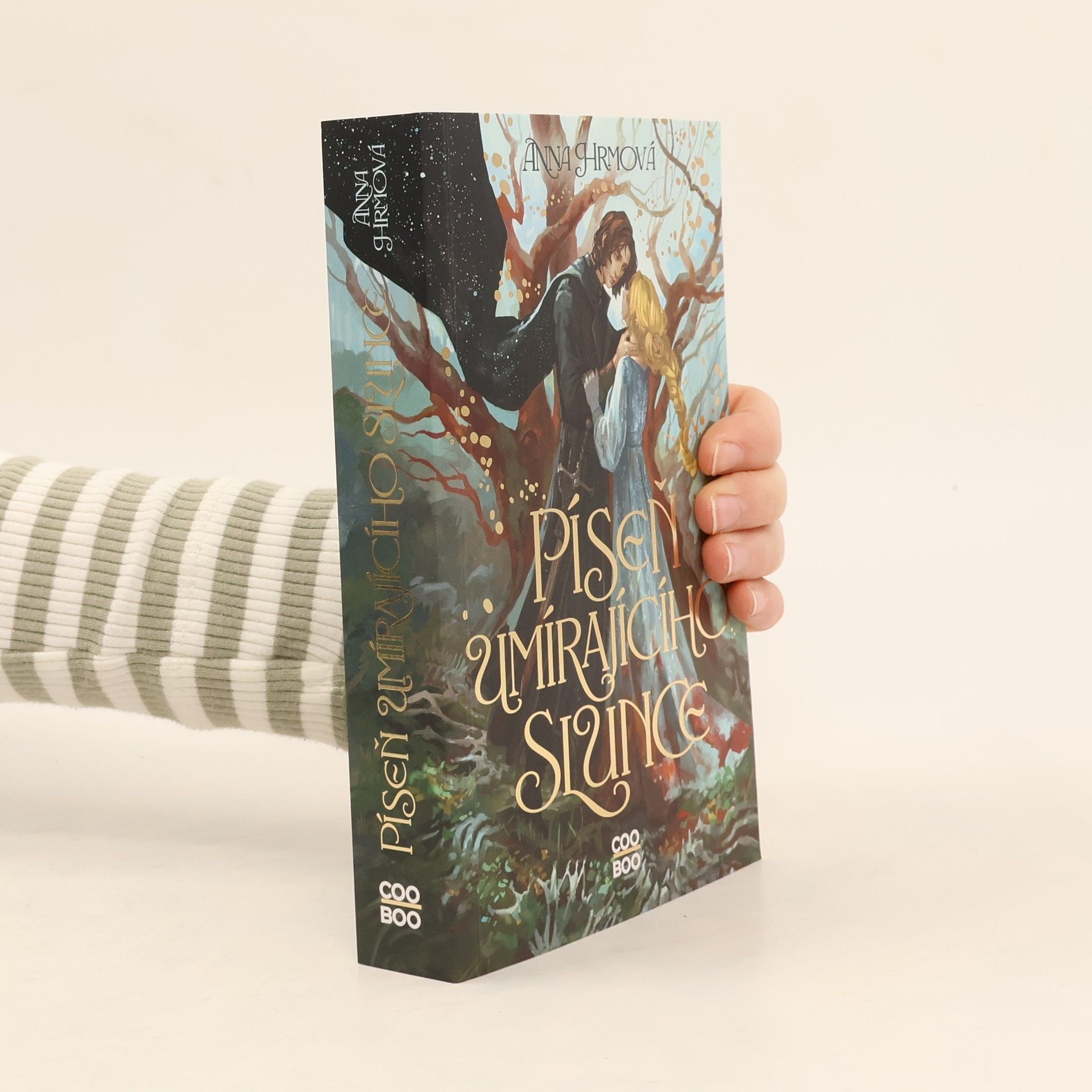 Anna Hrmová Píseň umírajícího slunce