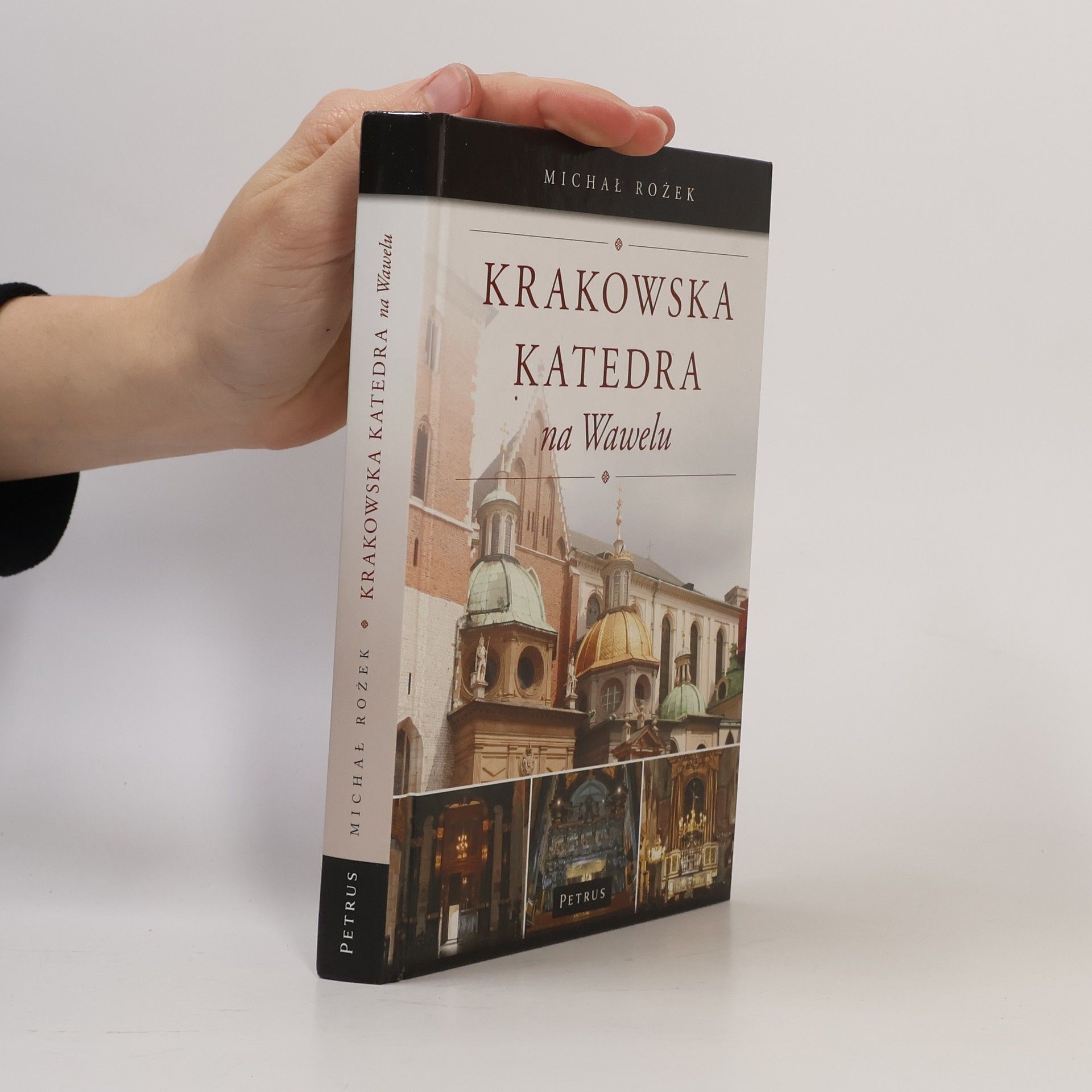 Michał Rożek Krakowska Katedra na Wawelu