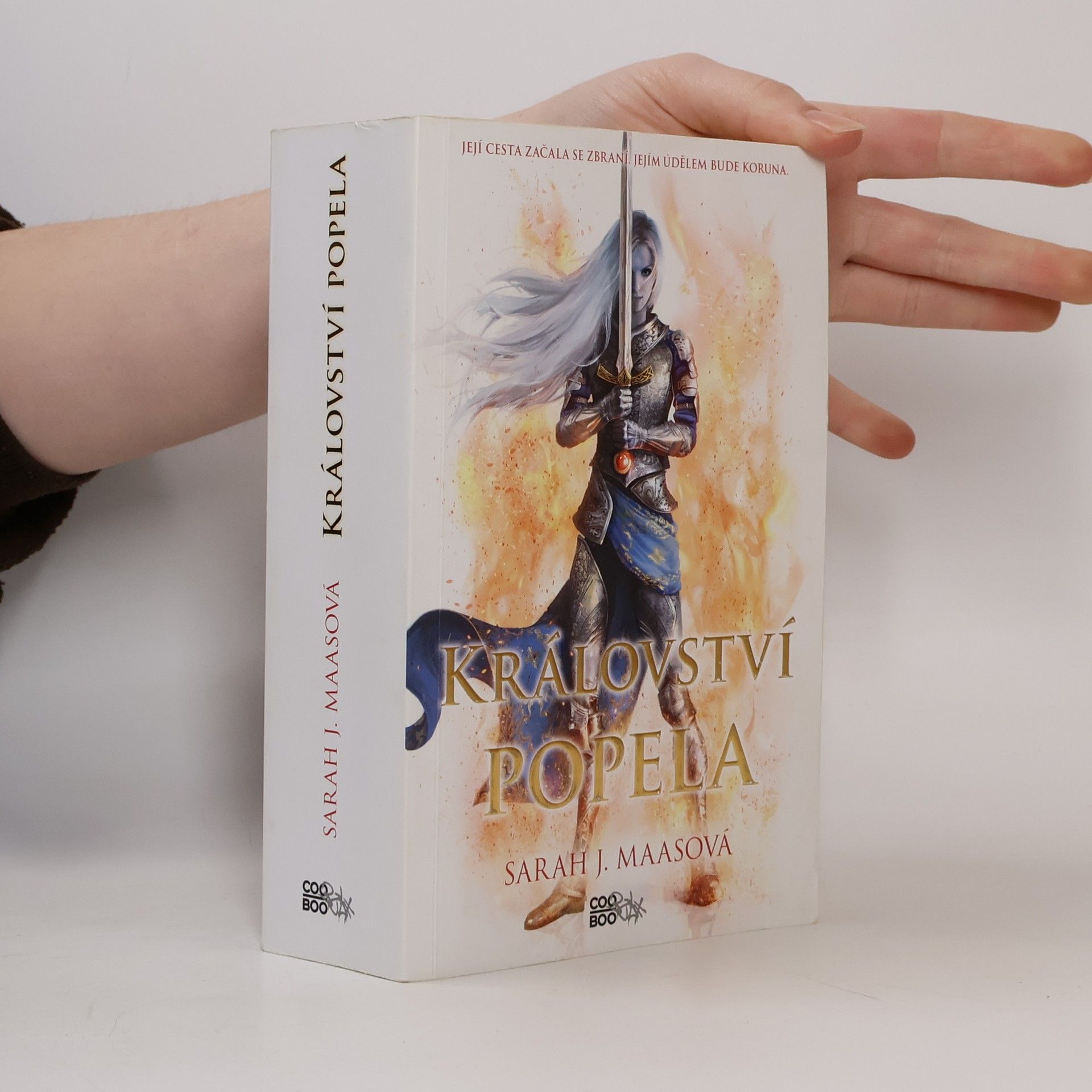 Sarah J. Maas Království popela