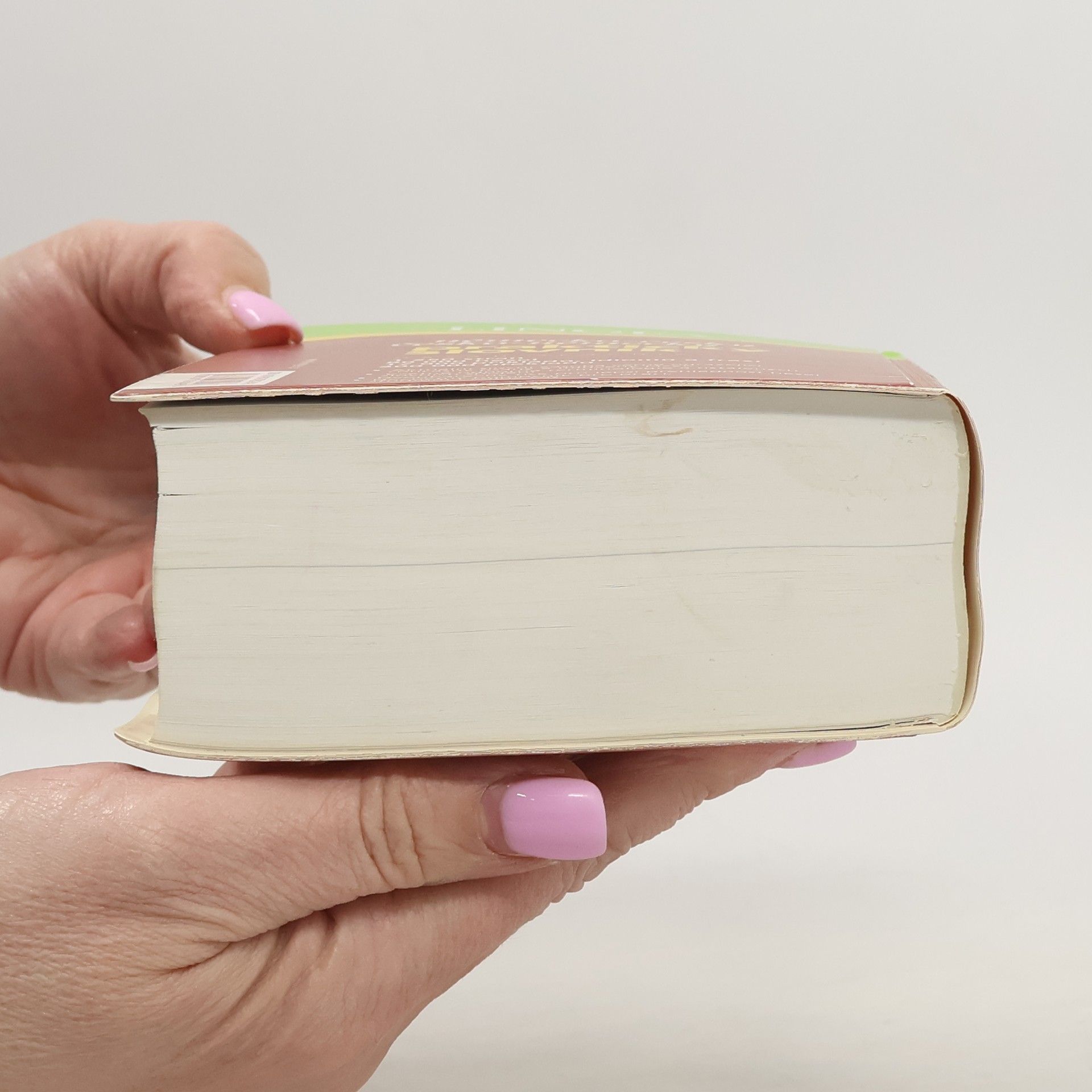 Various authors Německo-český, česko-německý praktický slovník