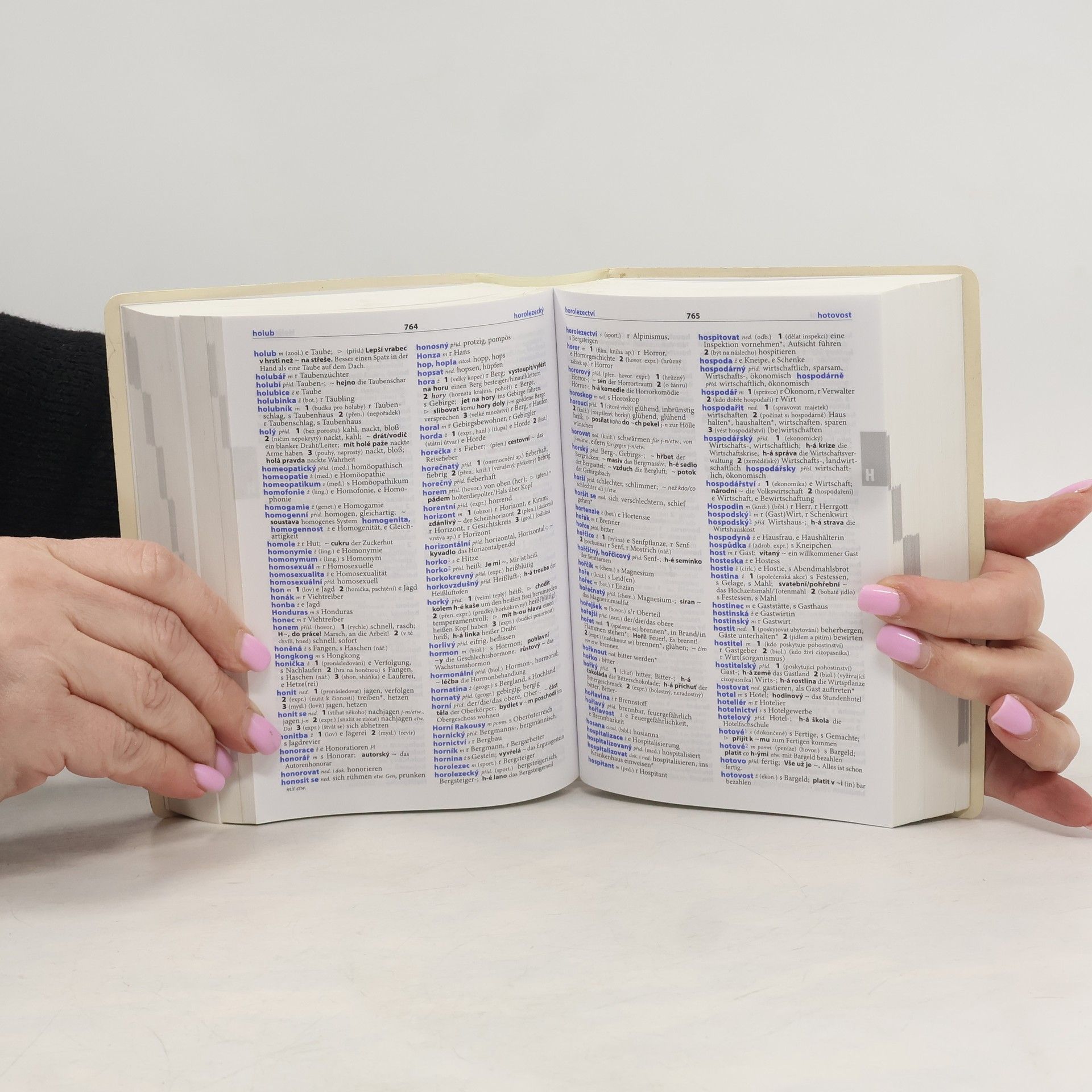 Various authors Německo-český, česko-německý praktický slovník