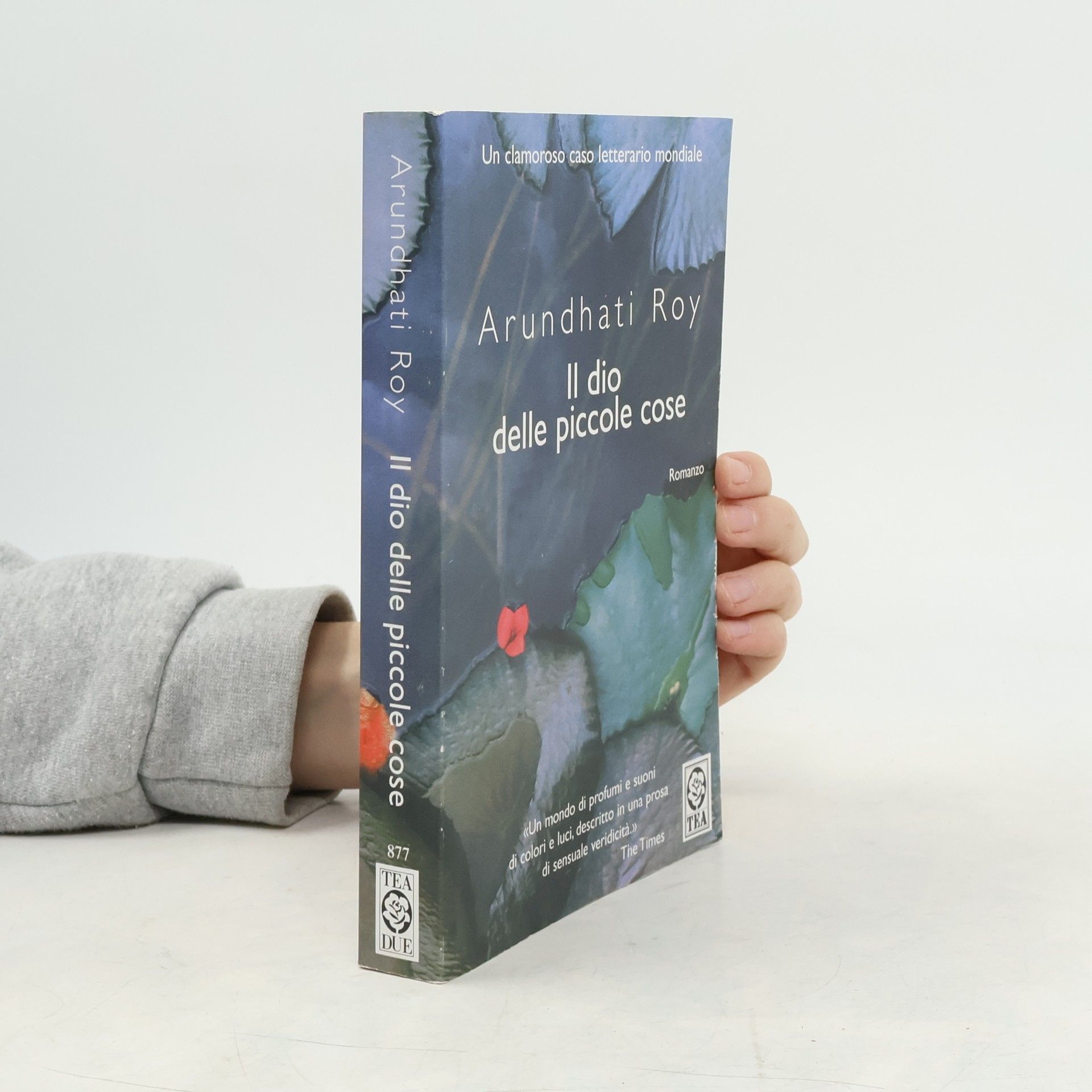 Arundhati Roy Il dio delle piccole cose