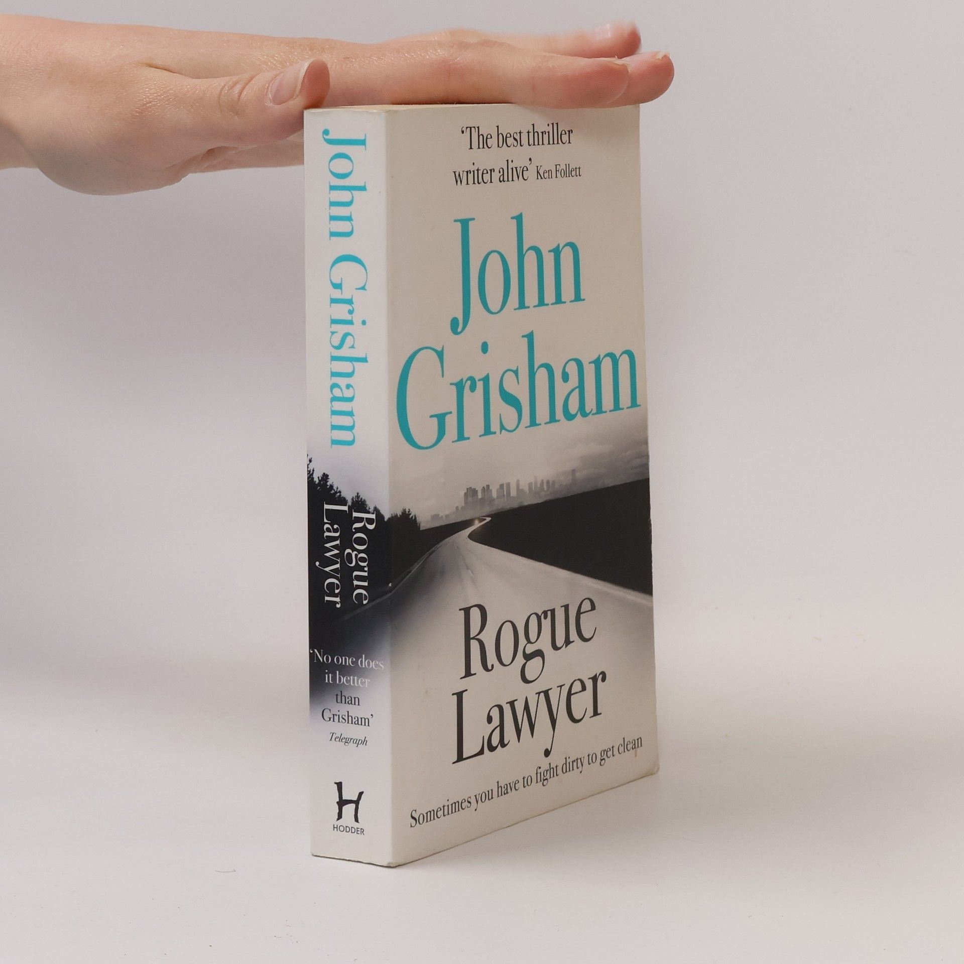 John Grisham Rogue lawyer