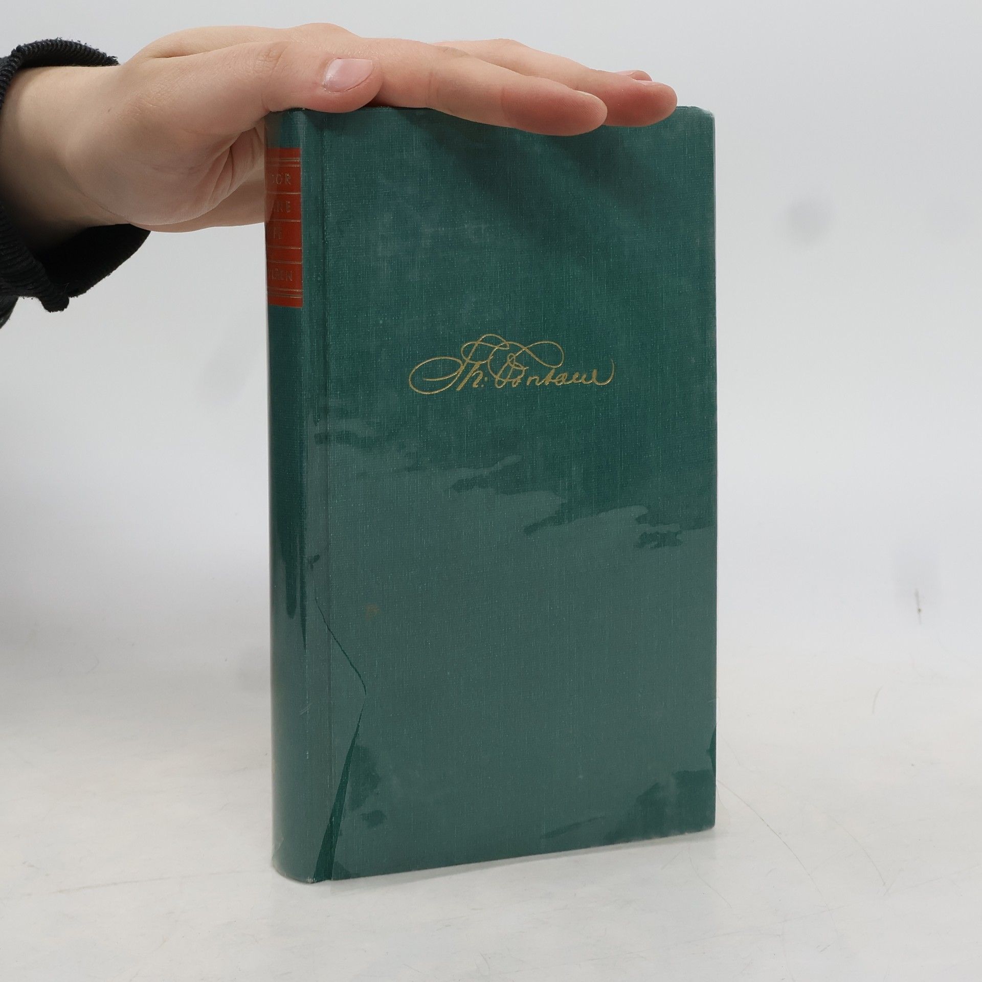 Theodor Fontane Briefe I.