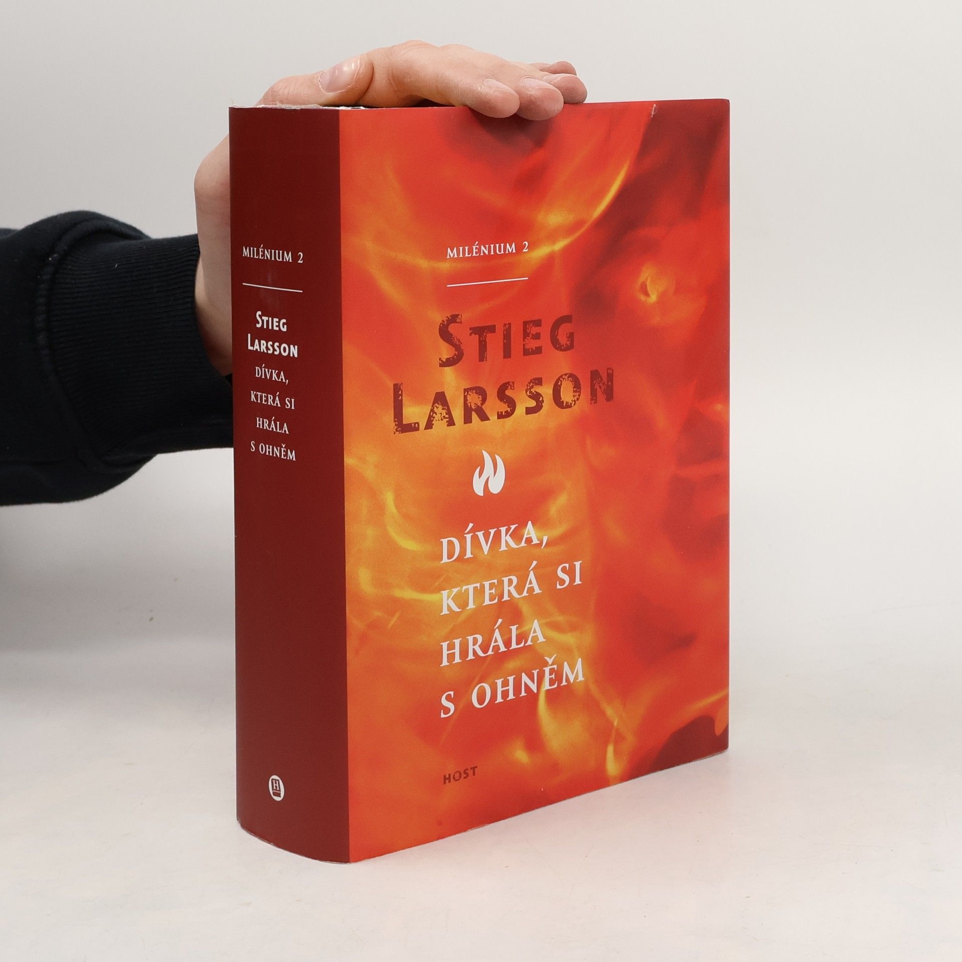 Stieg Larsson Dívka, která si hrála s ohněm