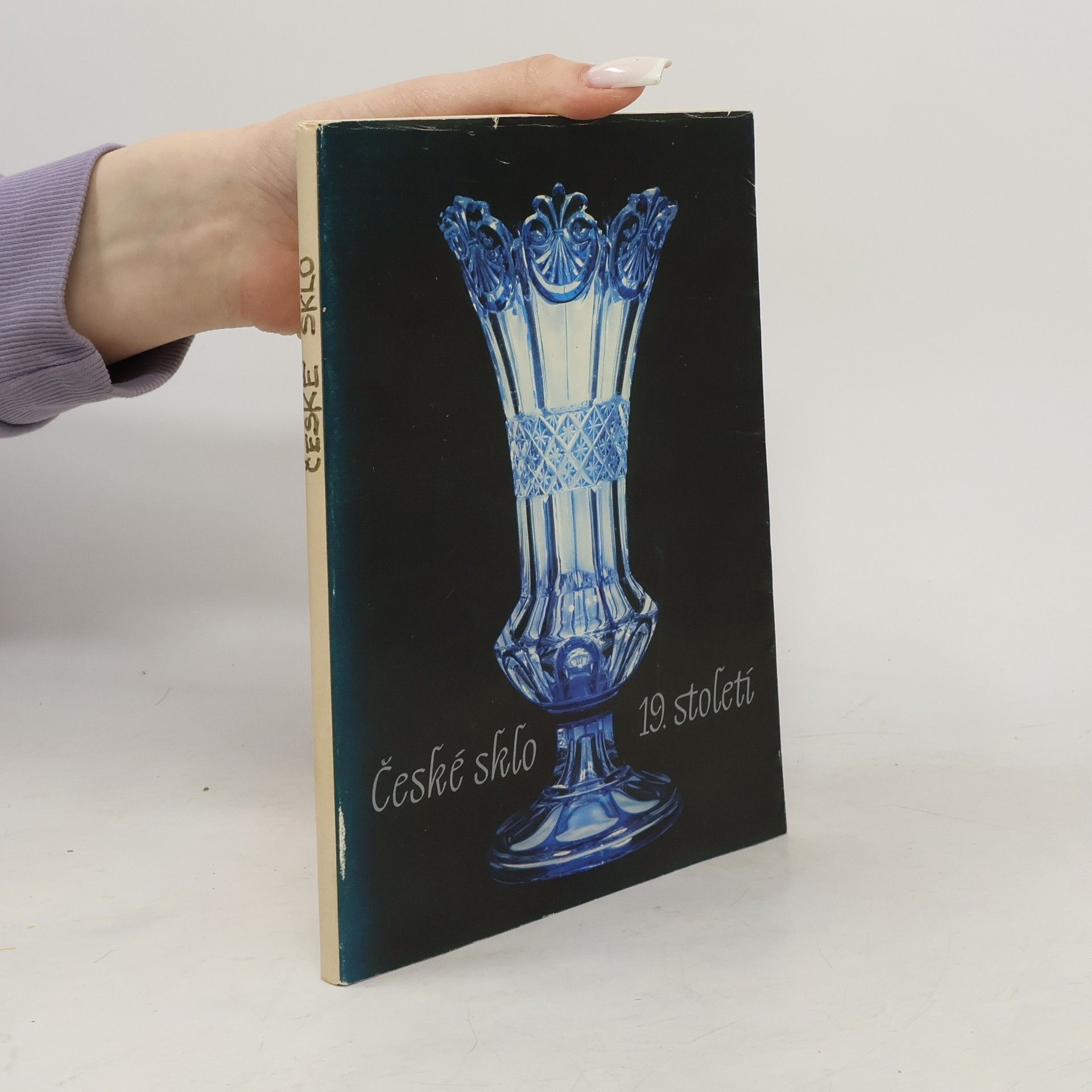 Božena Svobodníková České sklo 19. století