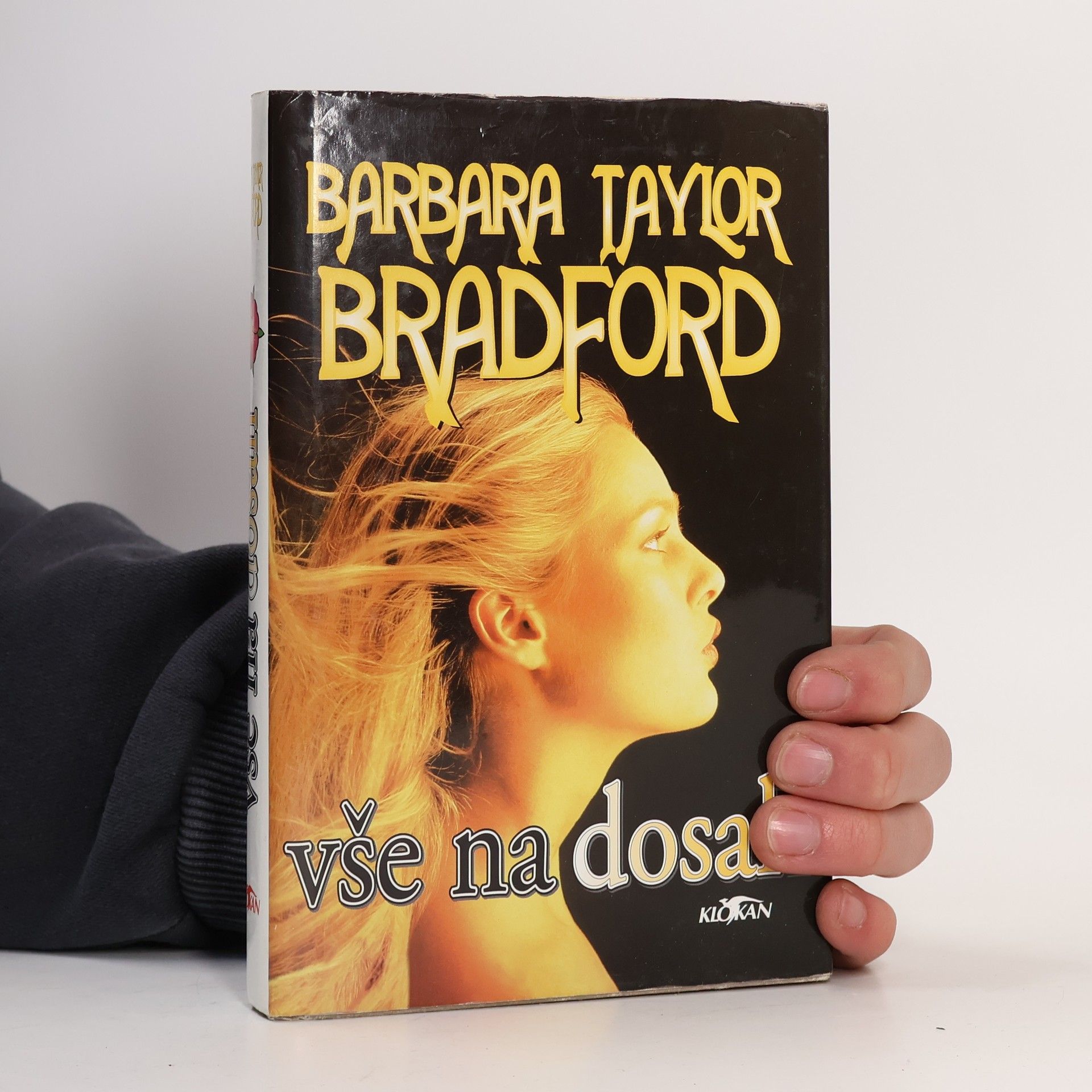 Barbara Taylor Bradford Vše na dosah
