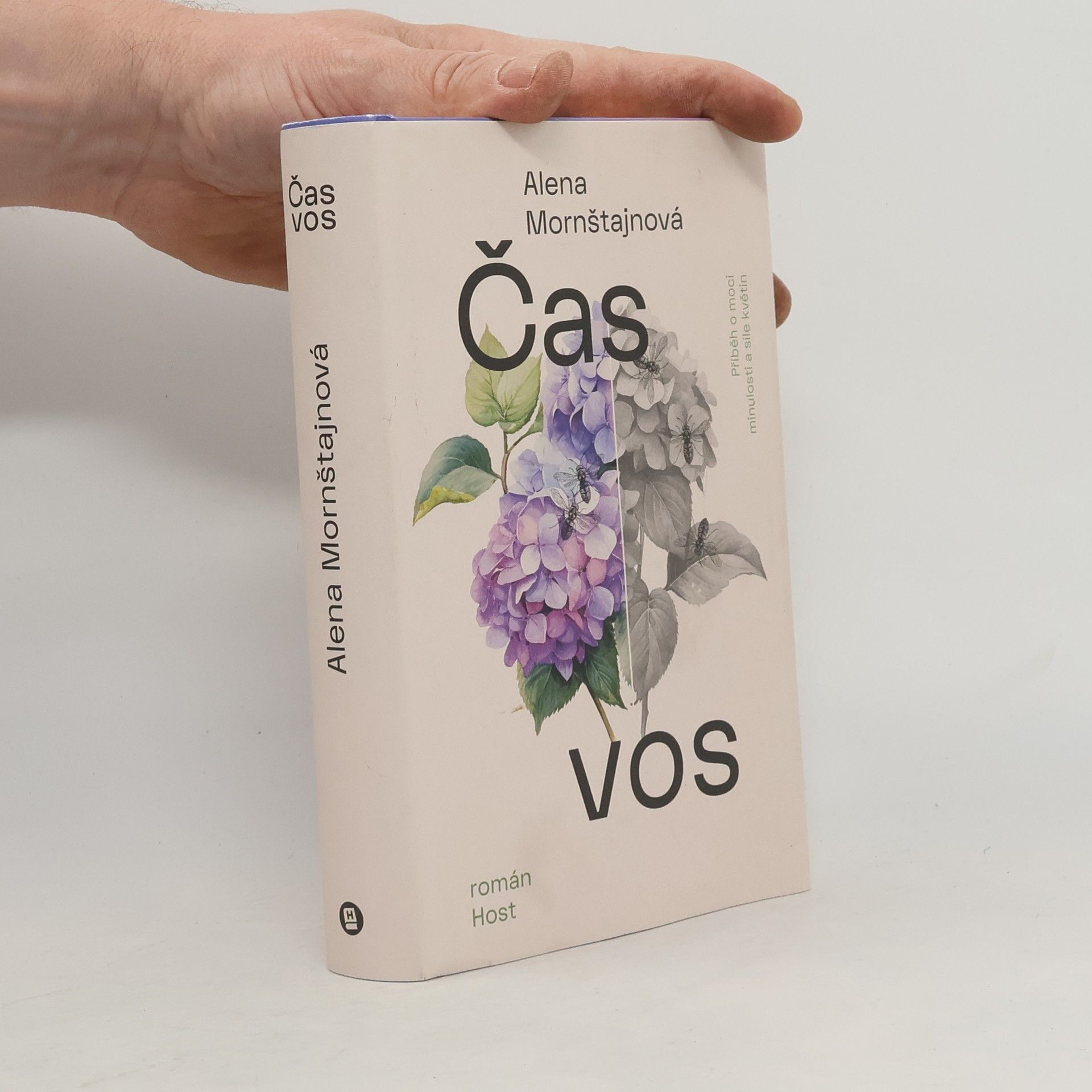 Alena Mornštajnová Čas vos