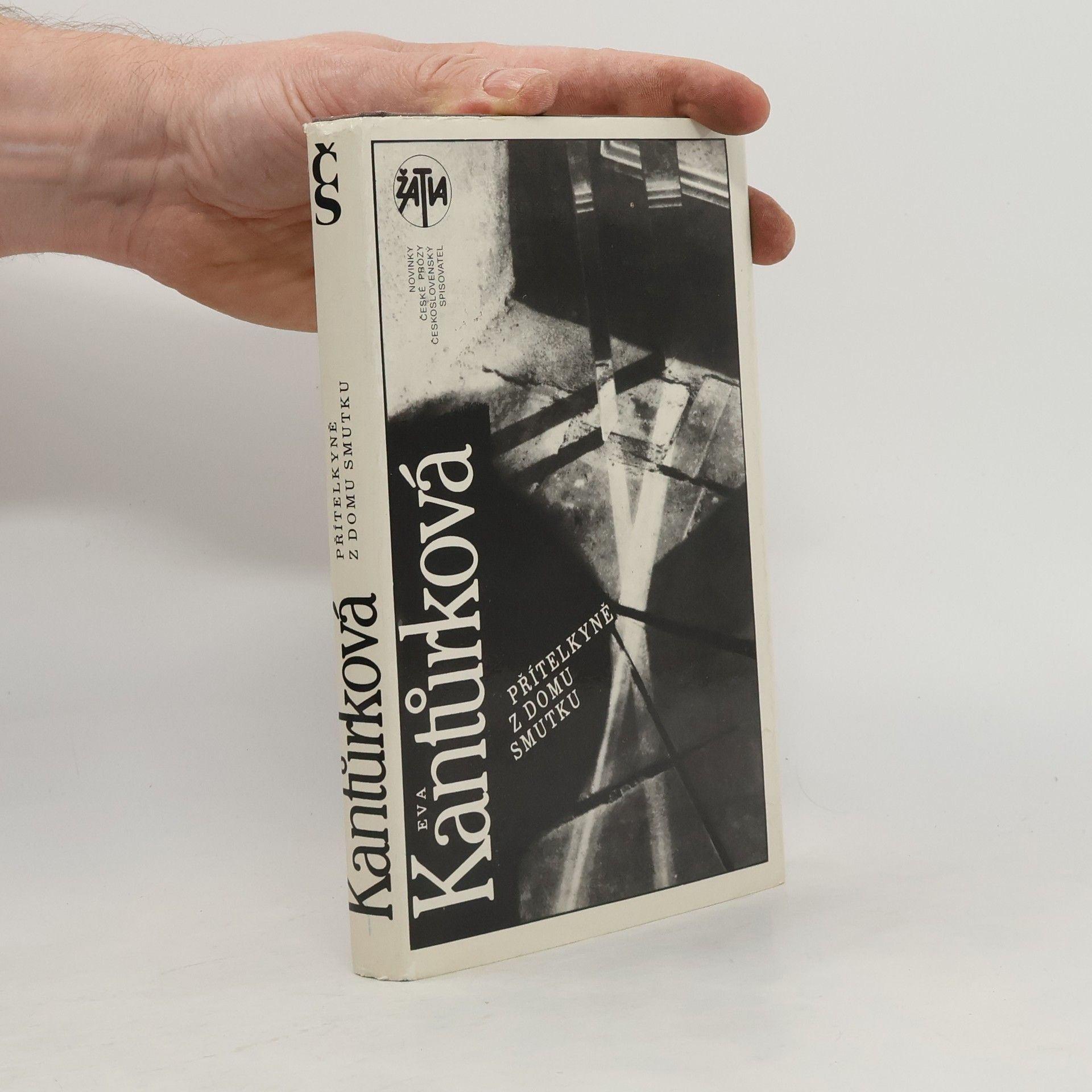 Přítelkyně z domu smutku