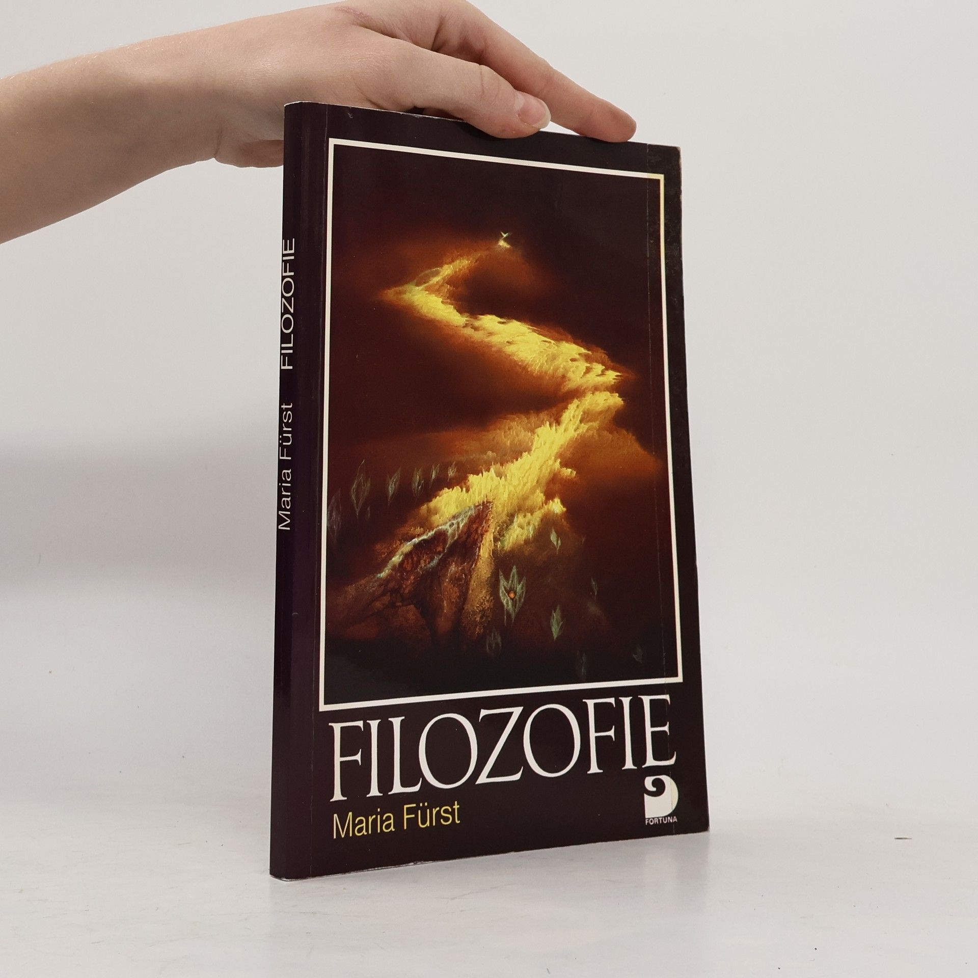 Maria Fürst Filozofie
