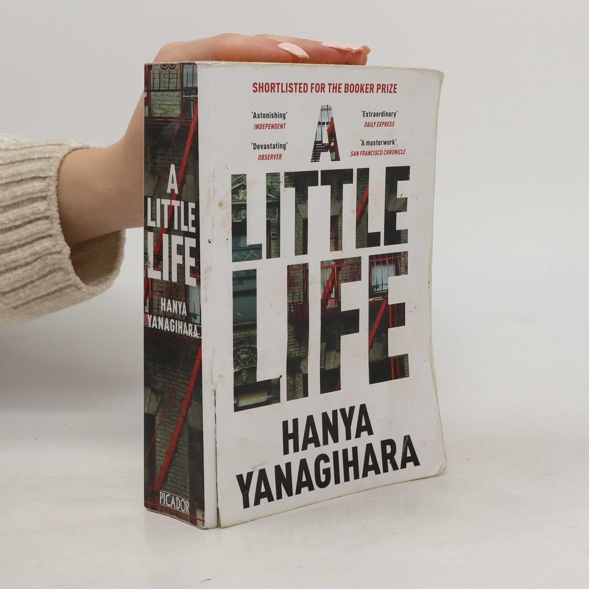 Hanya Yanagihara A Little Life