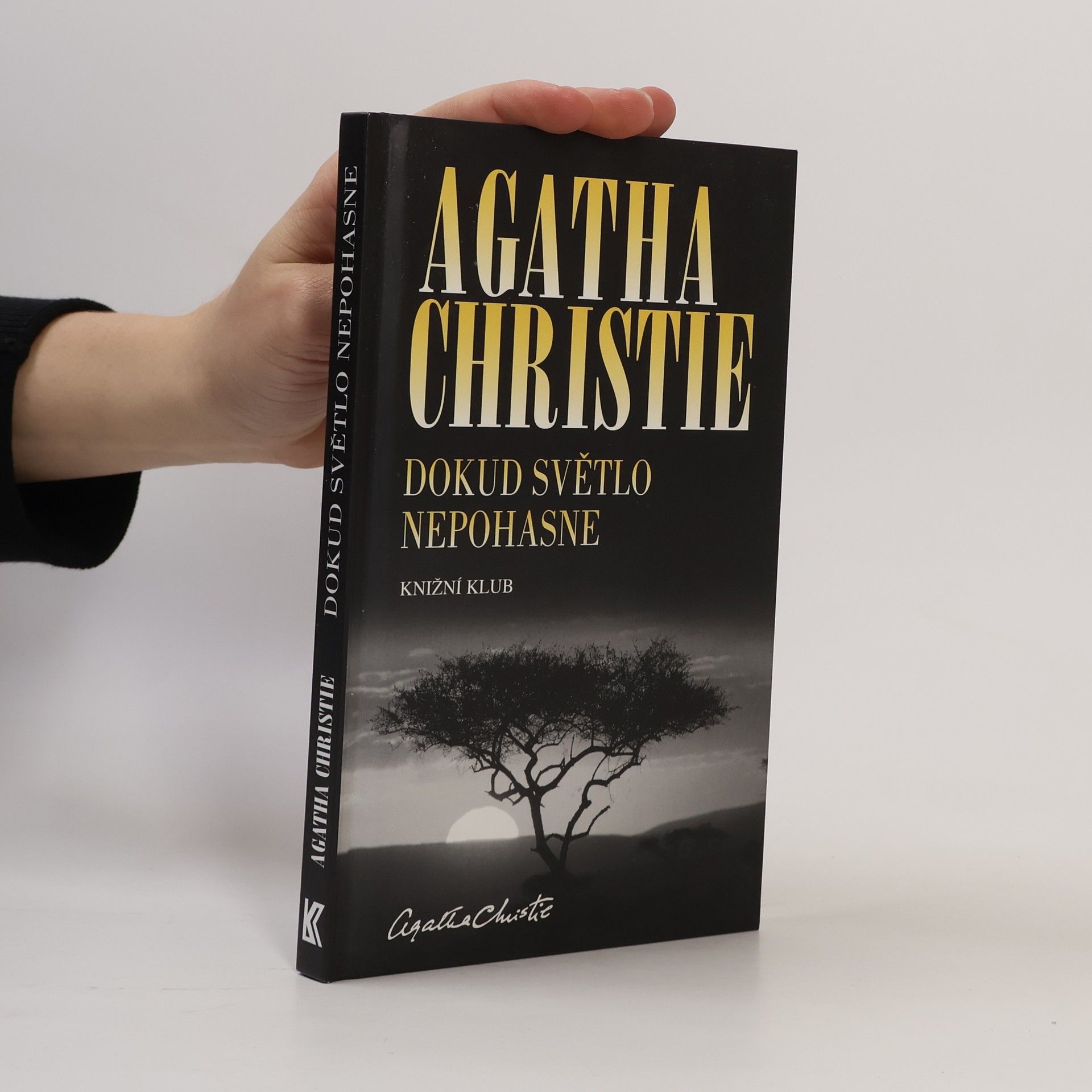 Agatha Christie Dokud světlo nepohasne