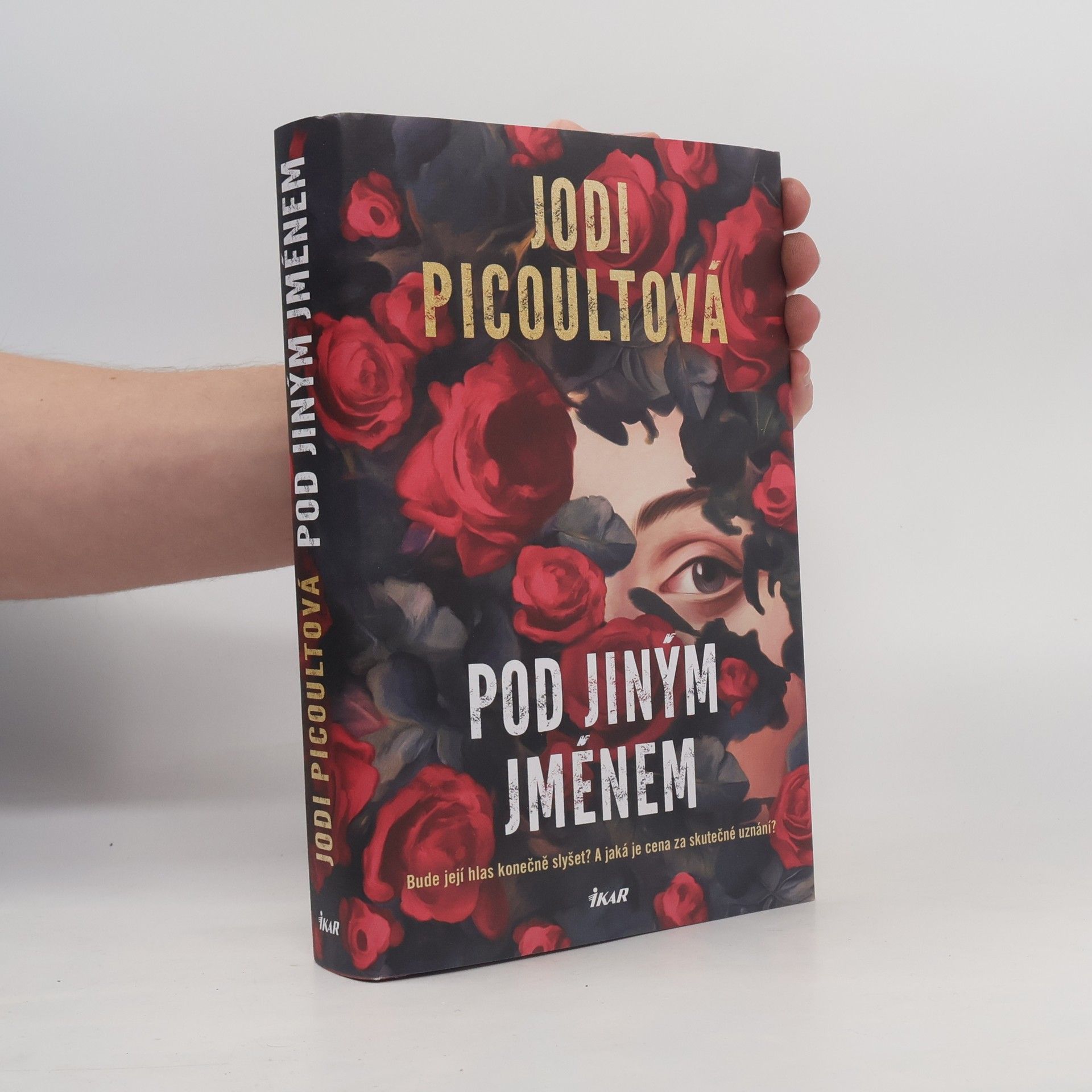 Jodi Picoult Pod jiným jménem