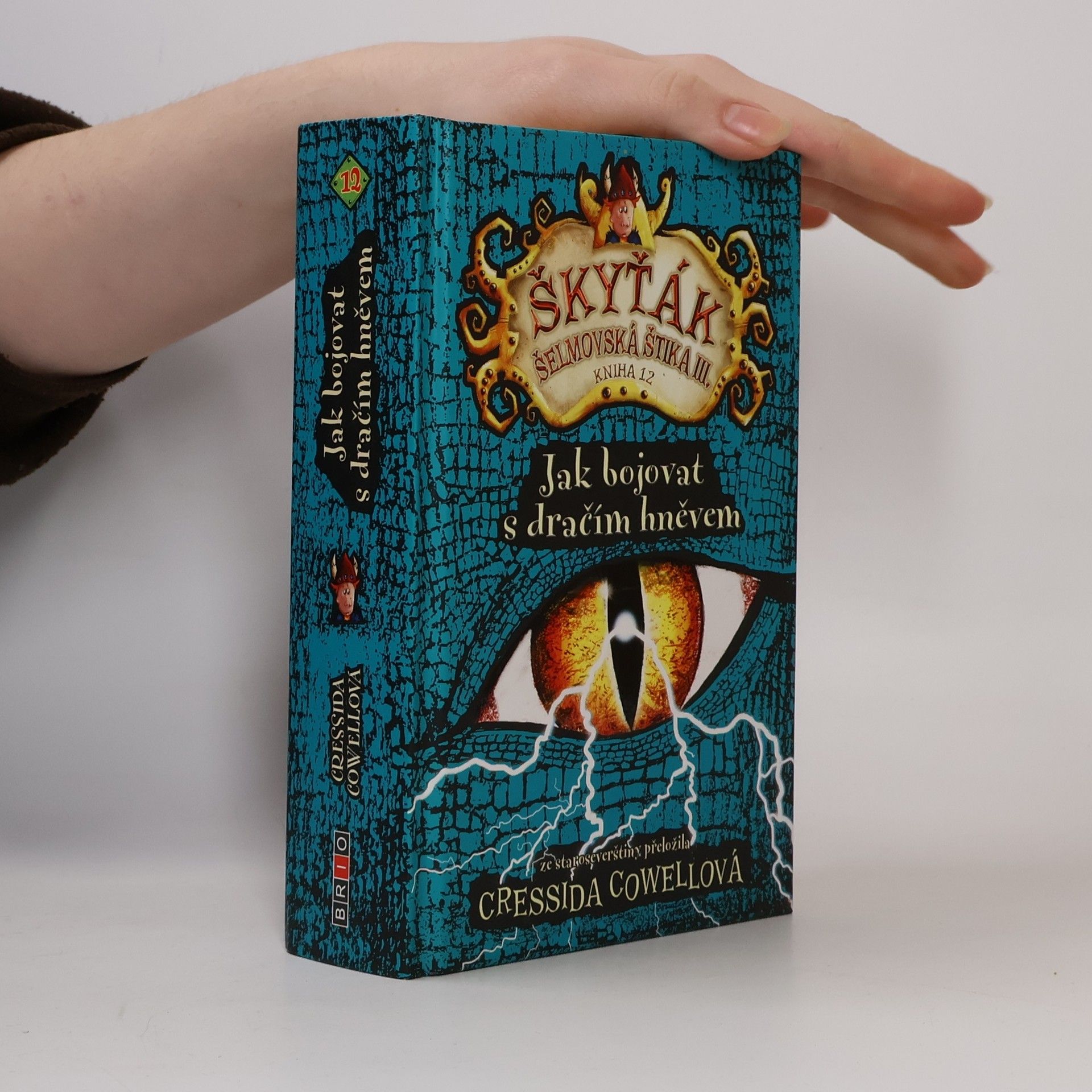 Cressida Cowell Škyťák Šelmovská Štika III. Jak bojovat s dračím hněvem