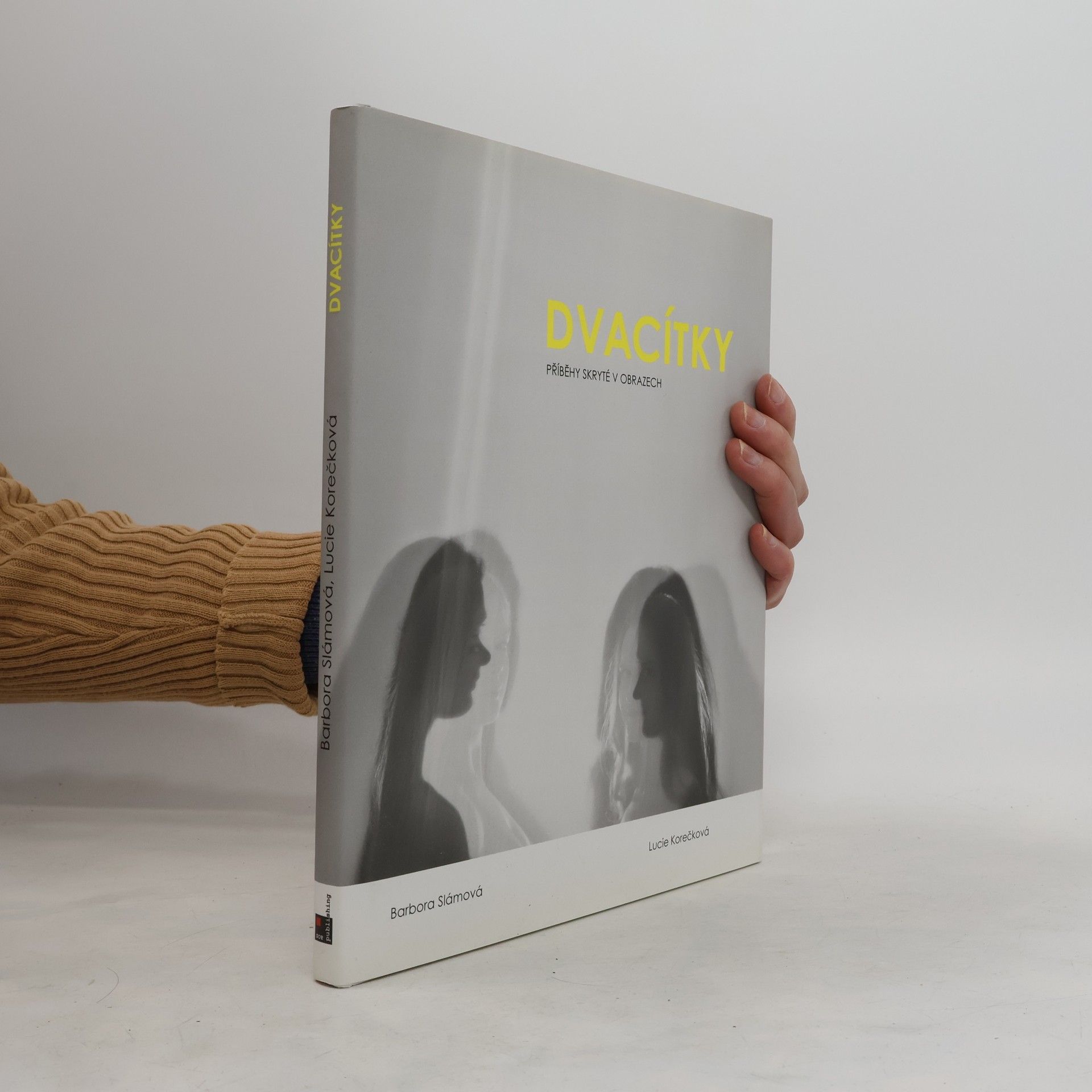 Barbora Slámová Dvacítky : příběhy skryté v obrazech