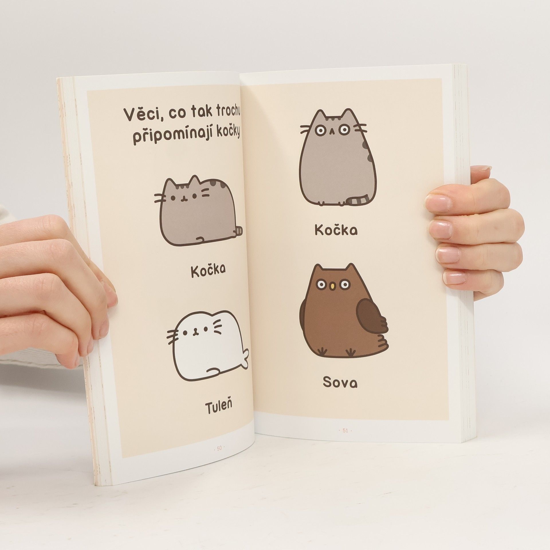 Claire Belton Pusheen. Já, košišta