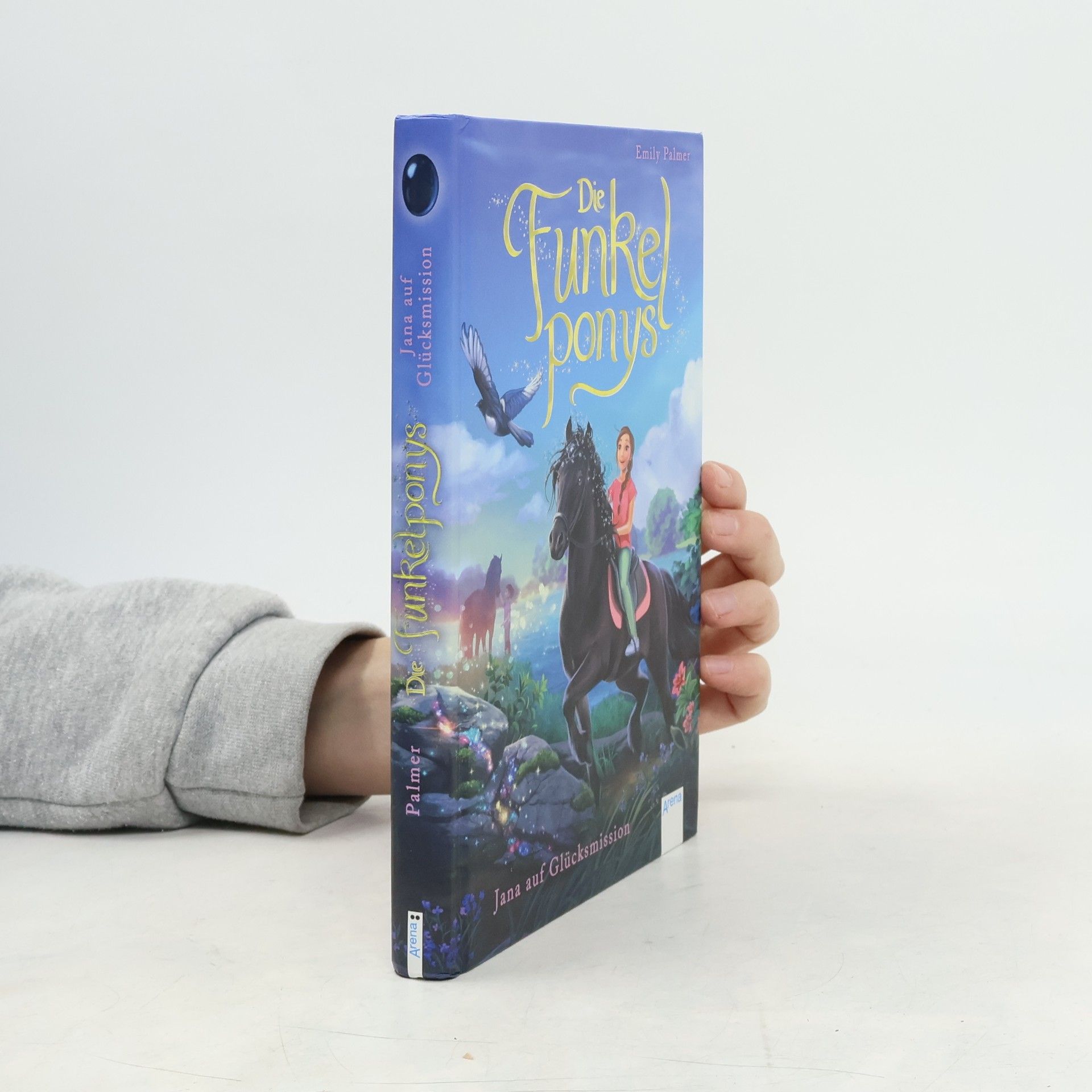 Anne Scheller Die Funkelponys - Jana auf Glücksmission