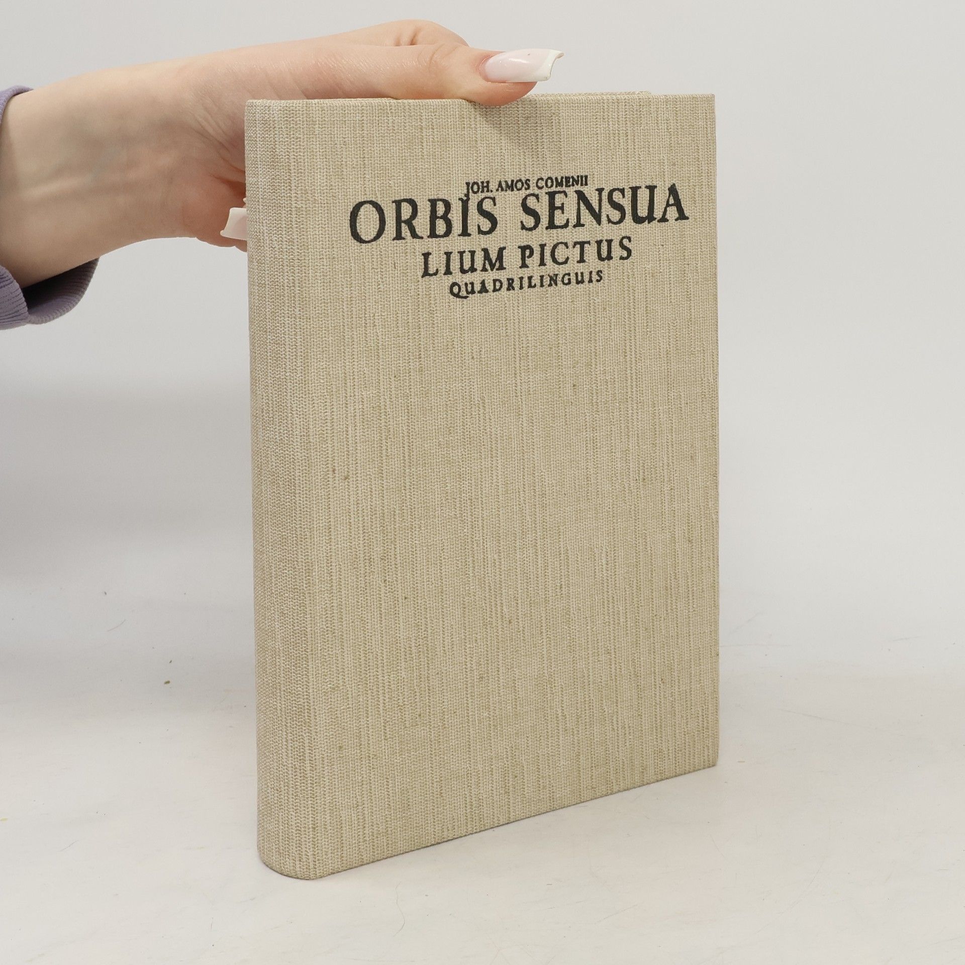 Autorenkollektiv Orbis sensualium pictus quadrilinguis