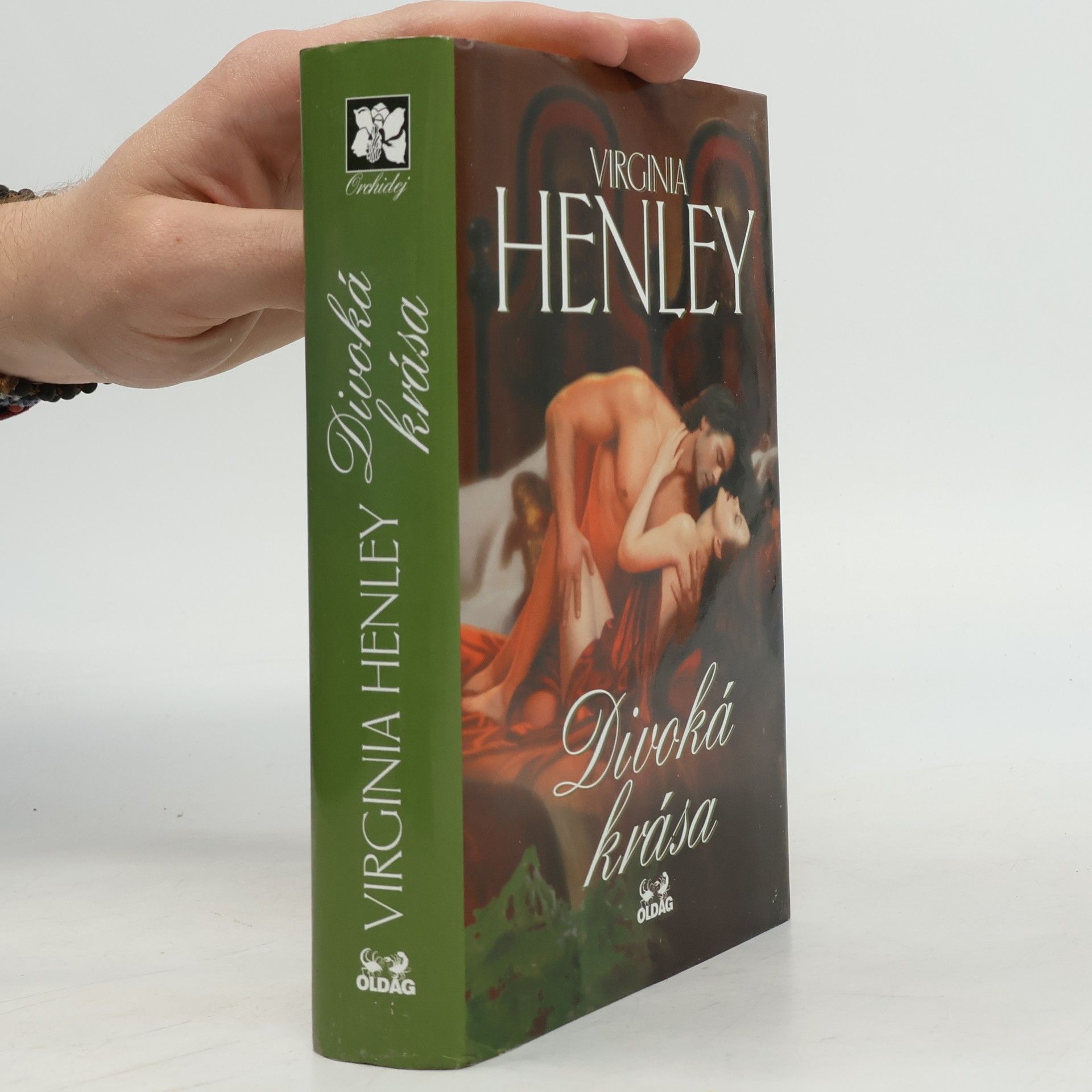 Virginia Henley Divoká krása