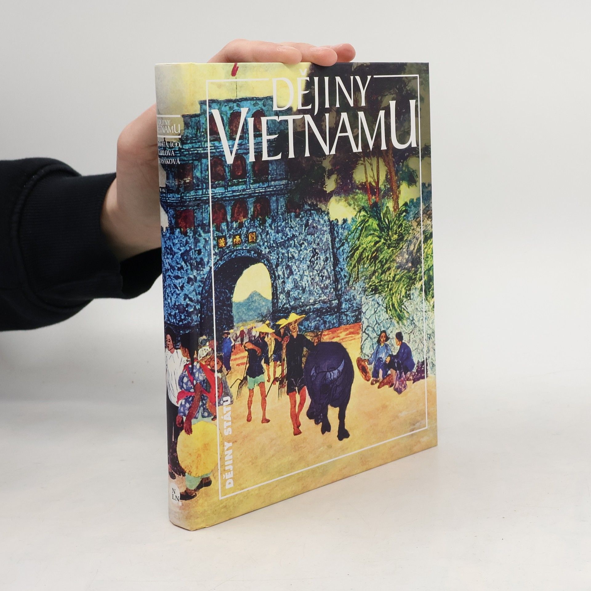 Lucie Hlavatá Dějiny Vietnamu