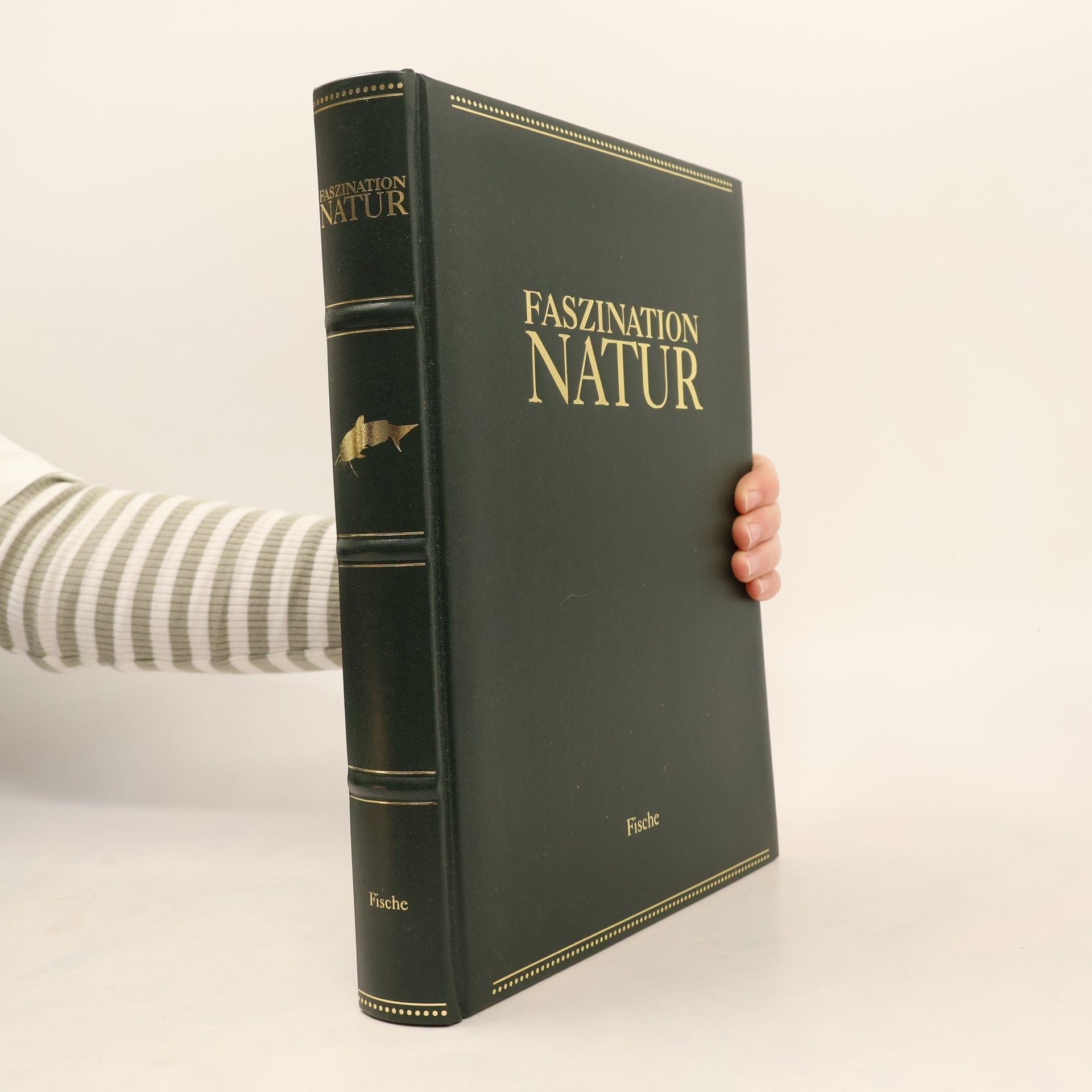 Autorenkollektiv Faszination Natur. Fische