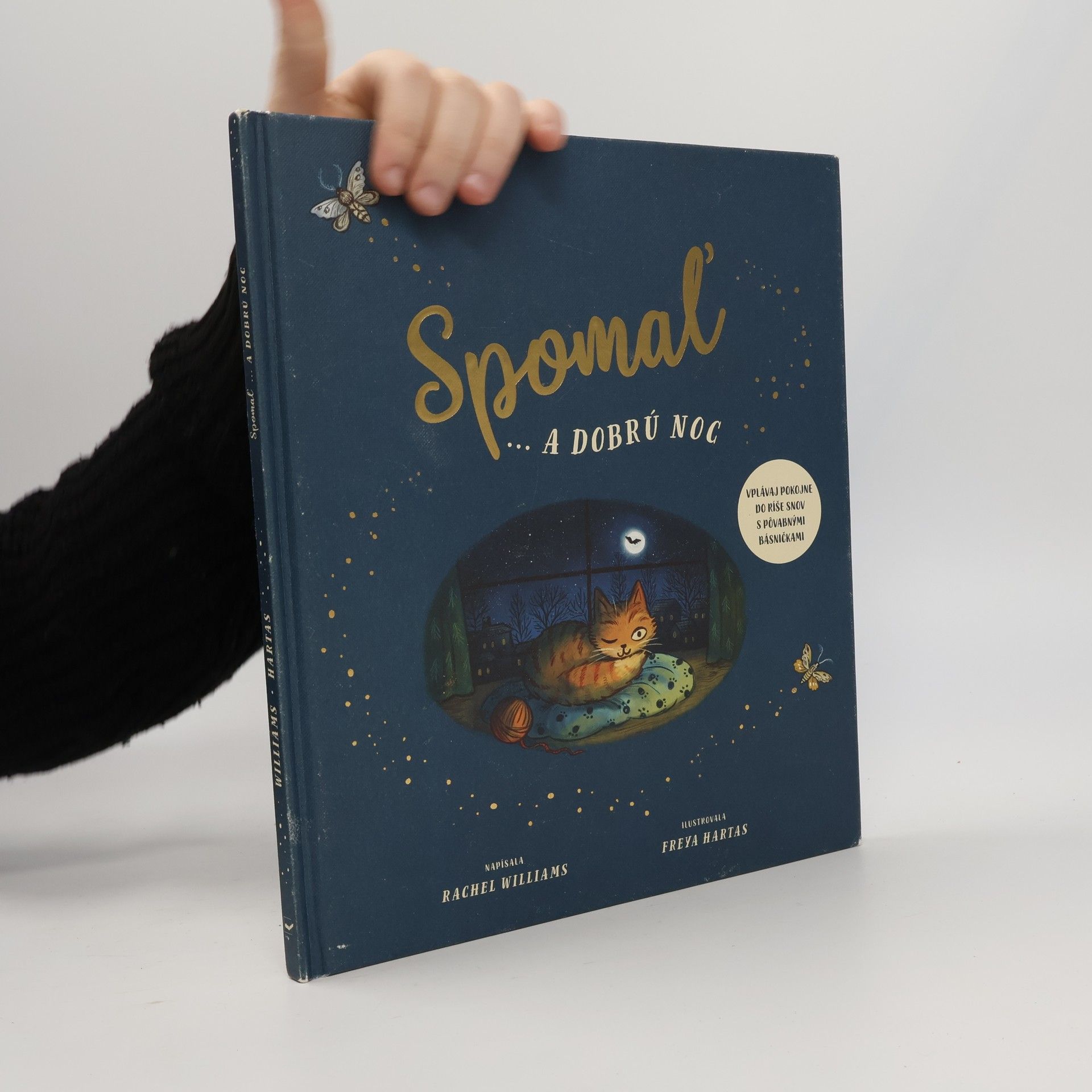 Rachel Williams Spomaľ ... a dobrú noc