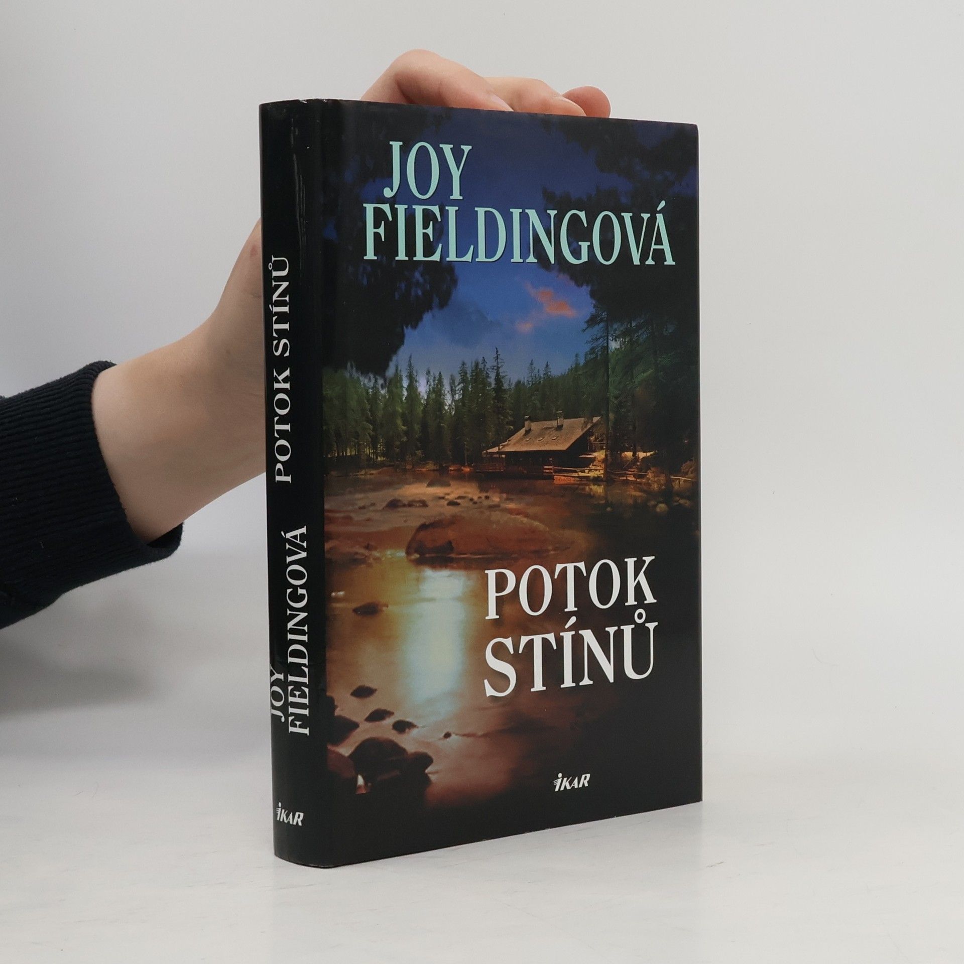 Joy Fielding Potok stínů