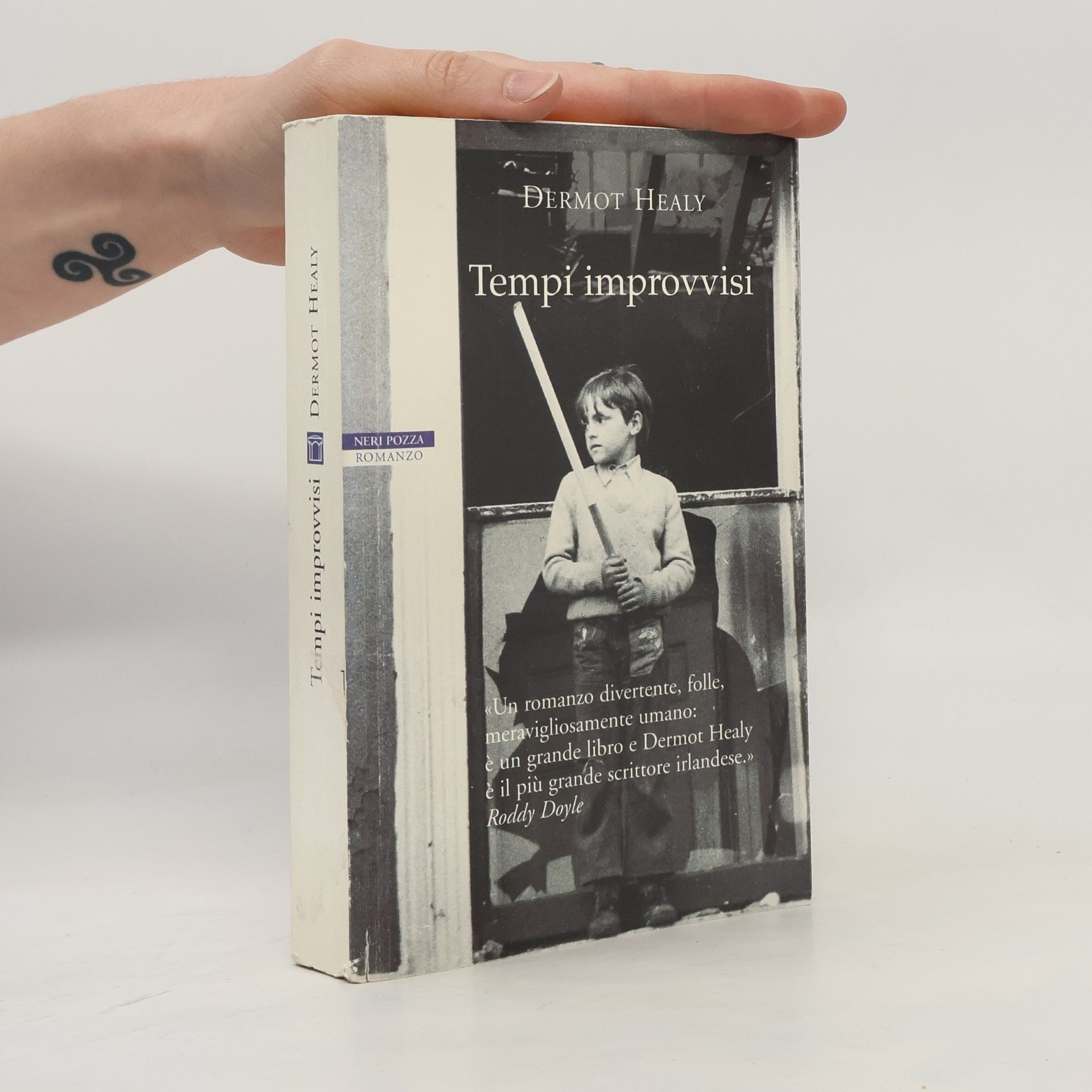 Dermot Healy I narratori delle tavole: Tempi improvvisi