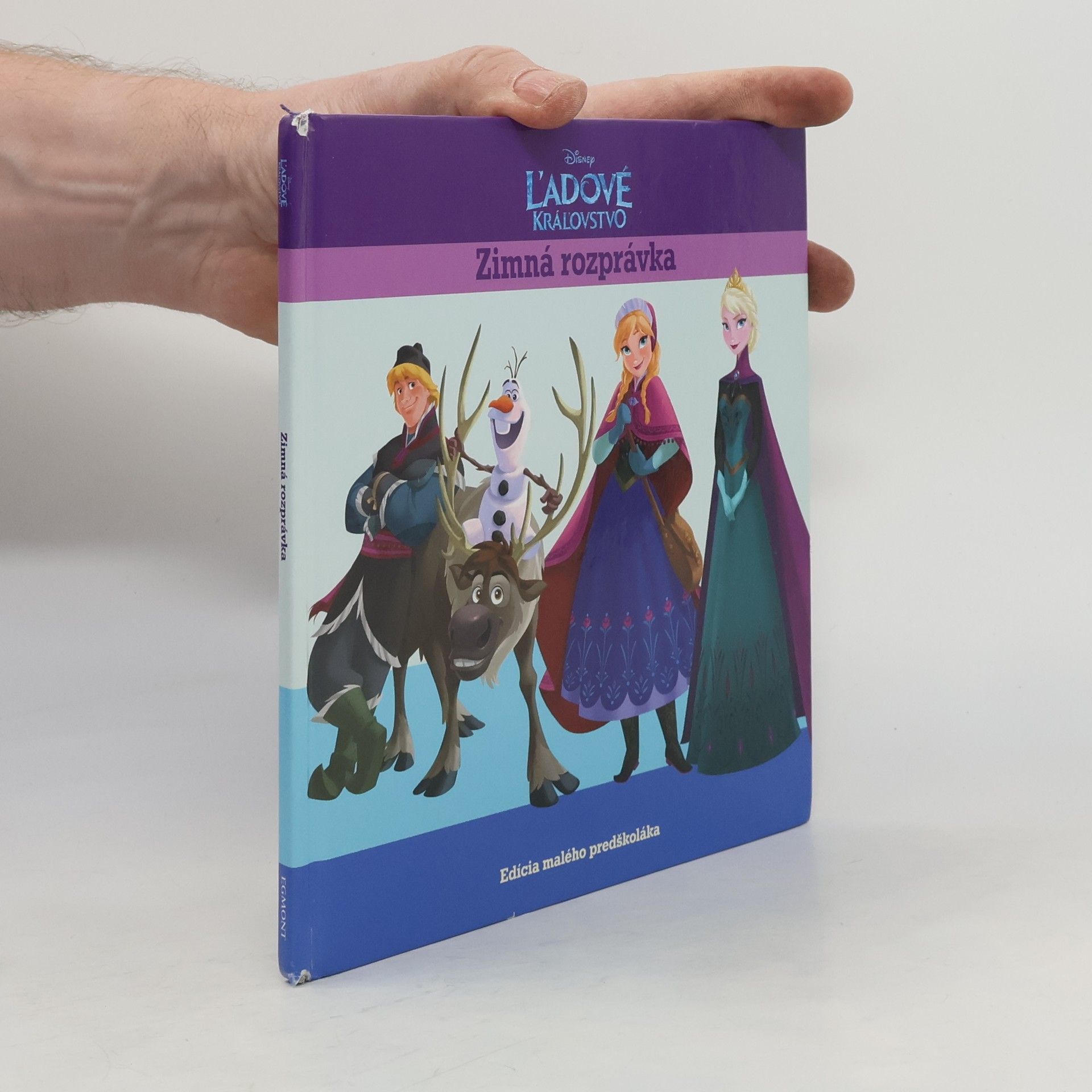 Autorenkollektiv Ľadové kráľovstvo Zimná rozprávka