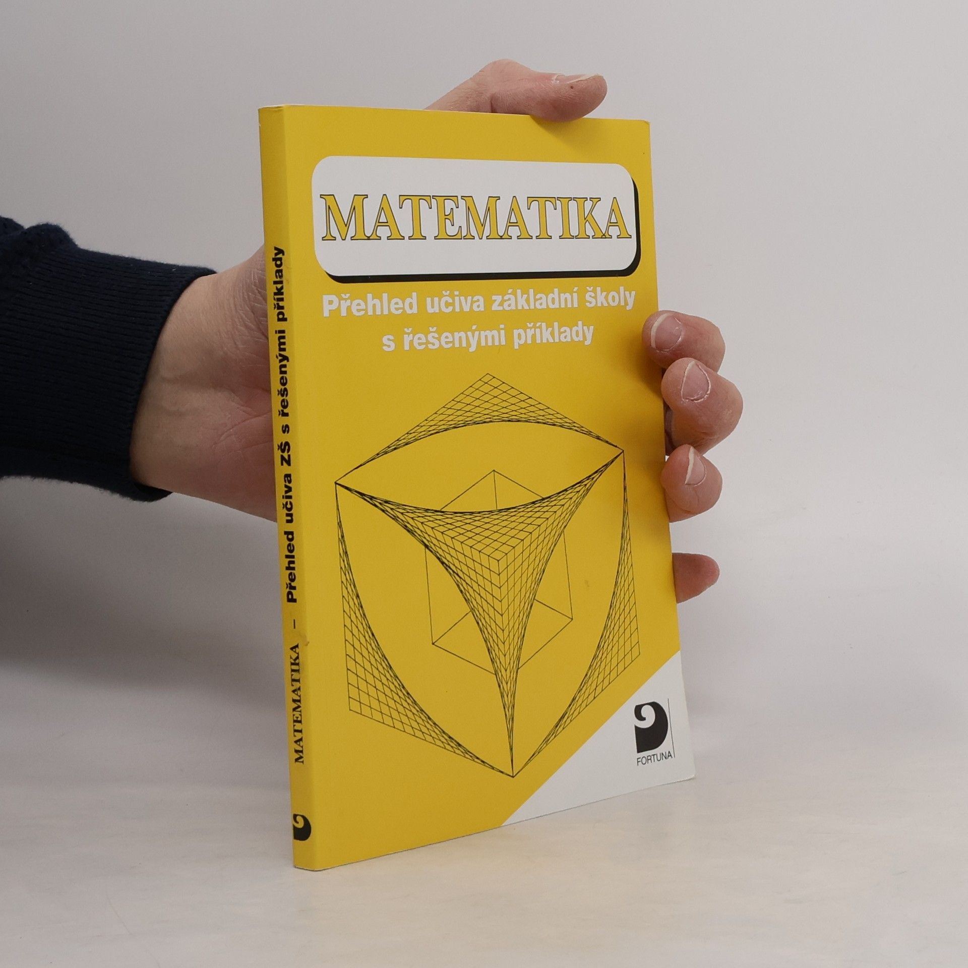 Jelena Tomićević Matematika. Přehled učiva základní školy s řešenými příklady