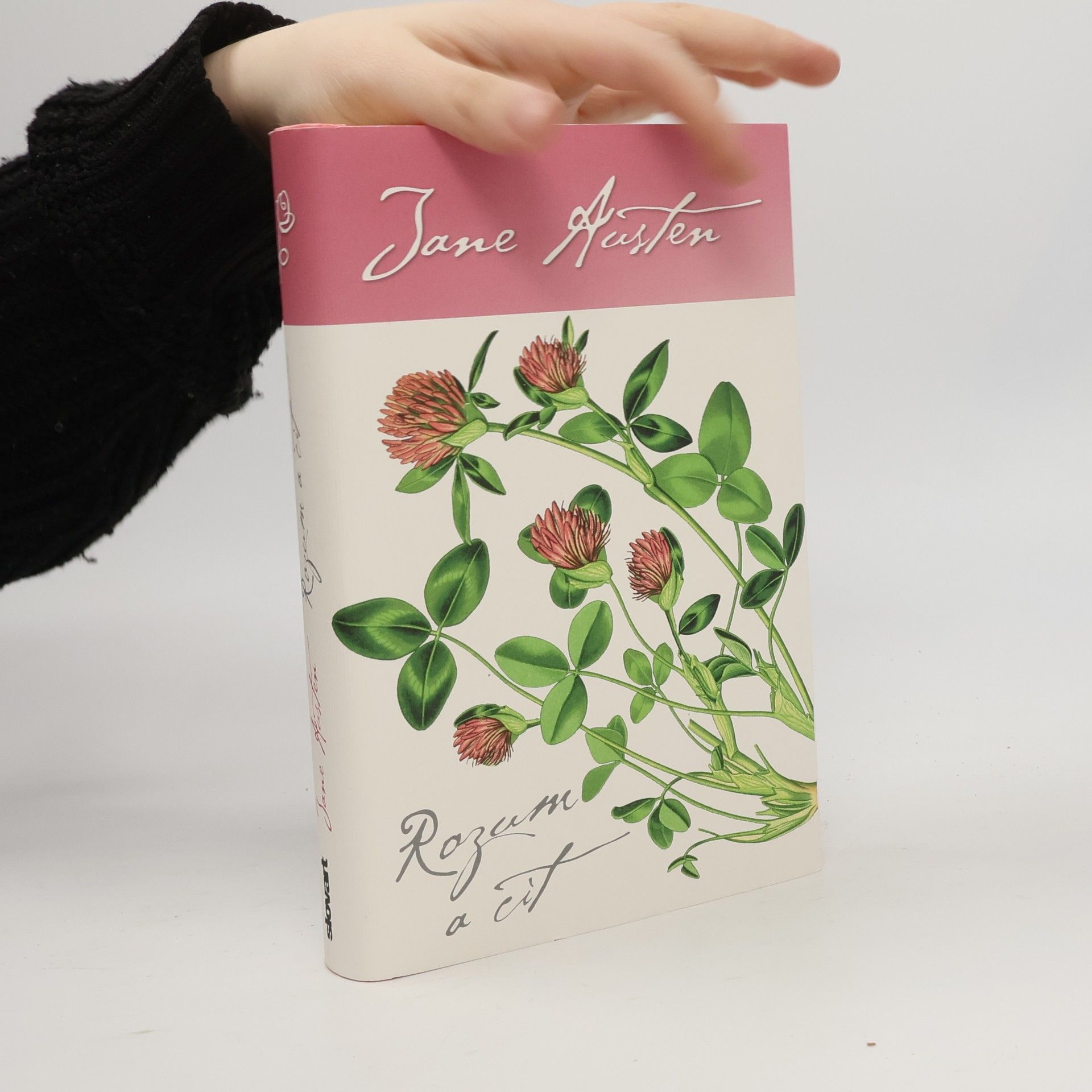 Jane Austen Rozum a cit