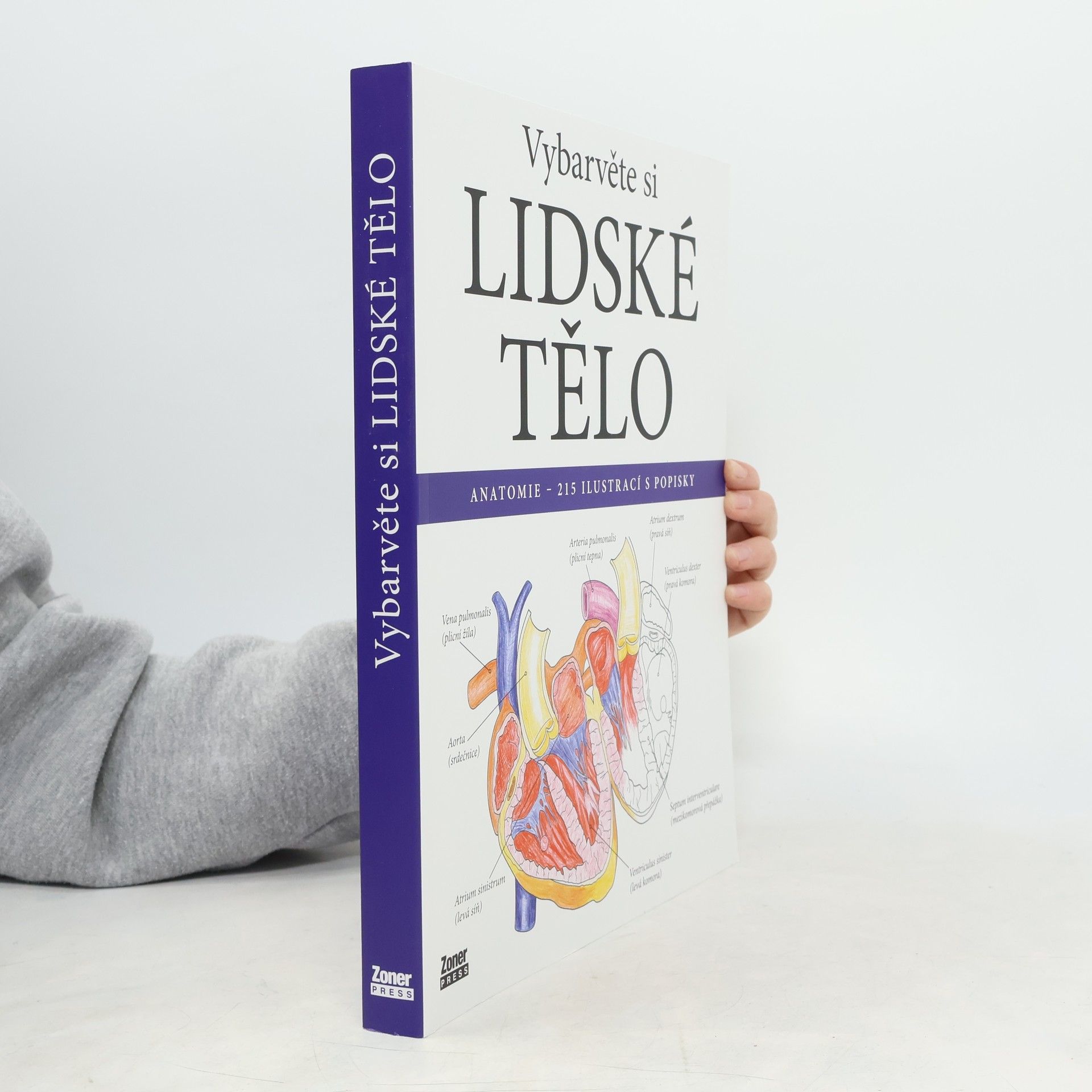 Evelína Kovácsová Vybarvěte si lidské tělo : anatomie - 215 ilustrací s popisky