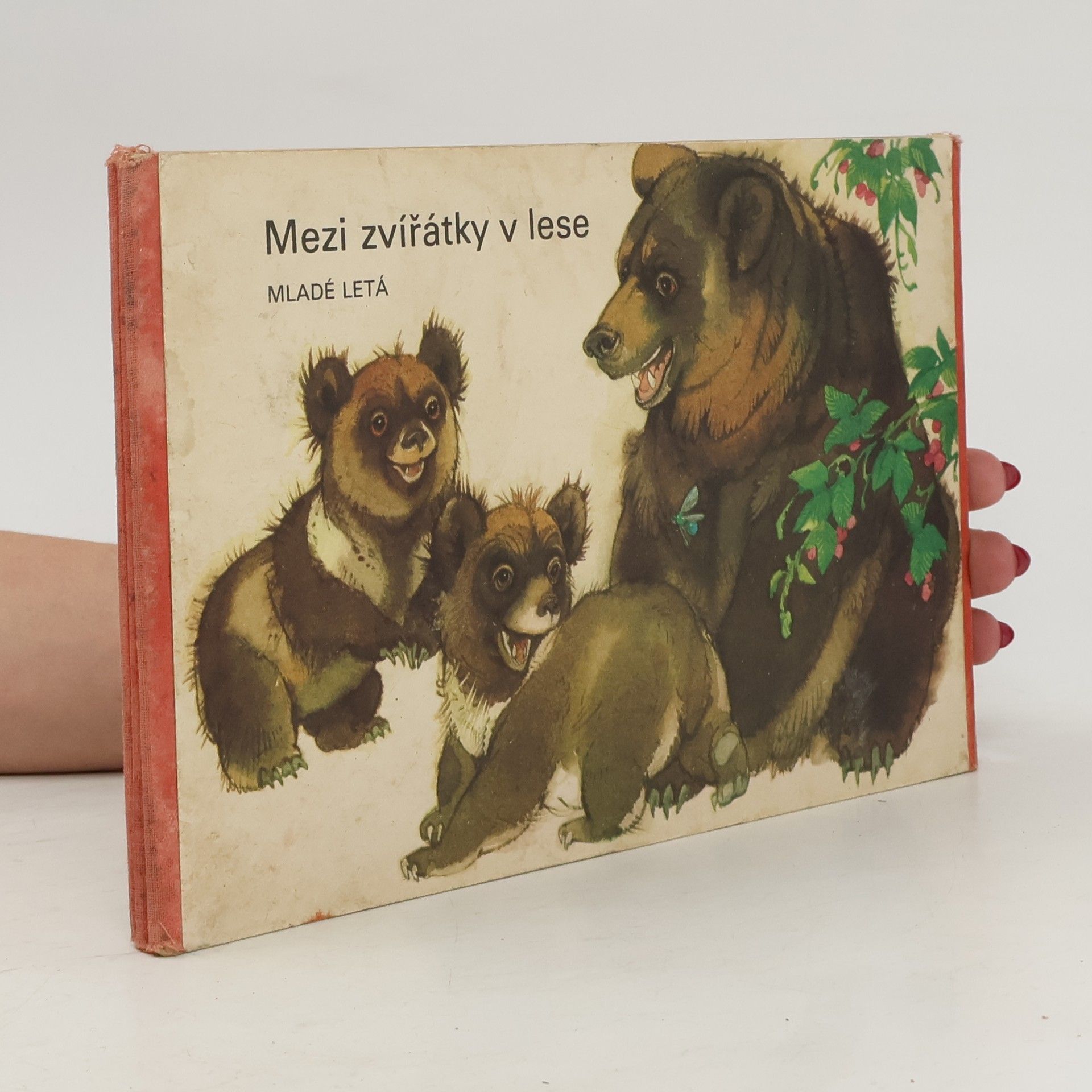 Vladimír Machaj Mezi zvířátky v lese