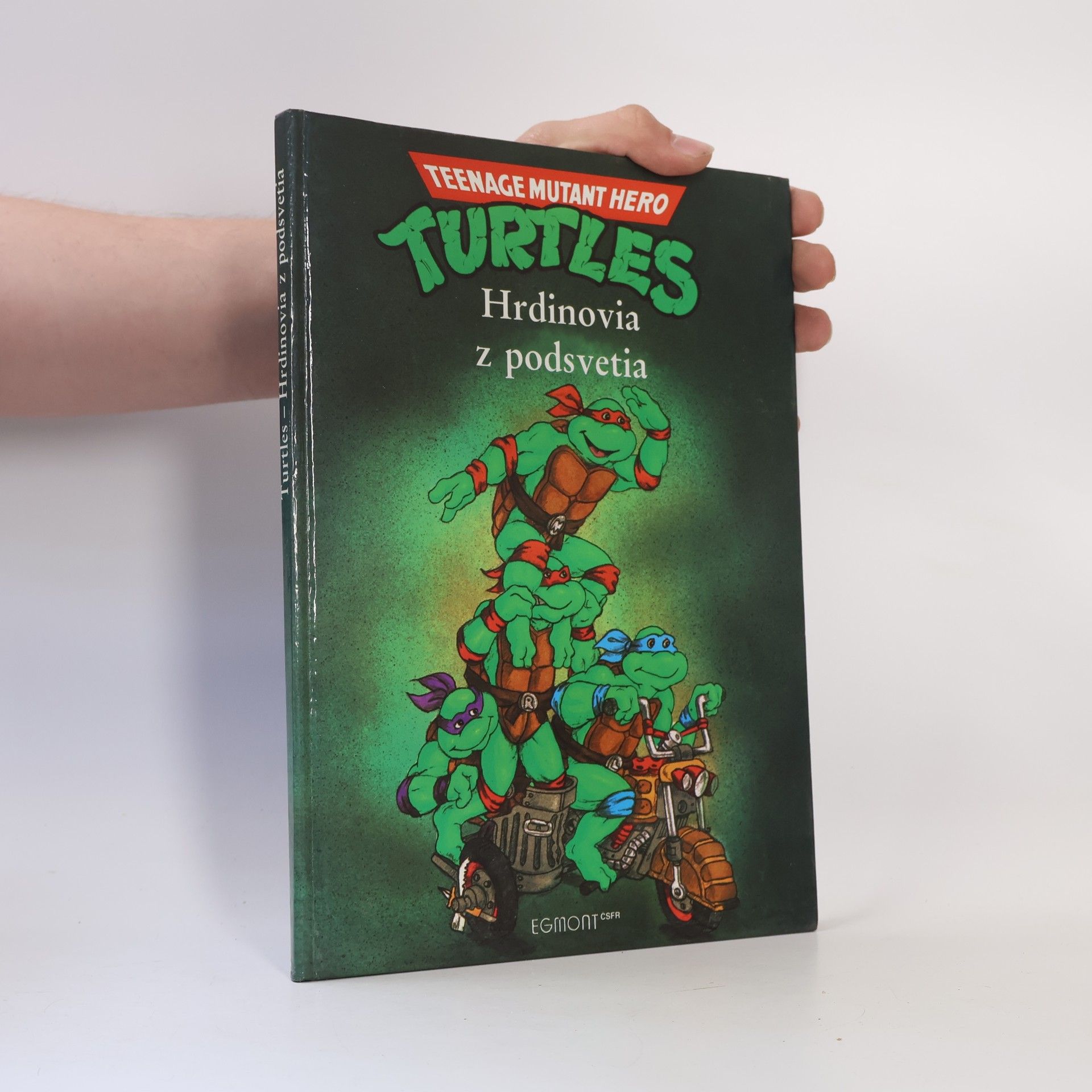 Maureen Spurgeon Turtles - Hrdinovia z podsvetia