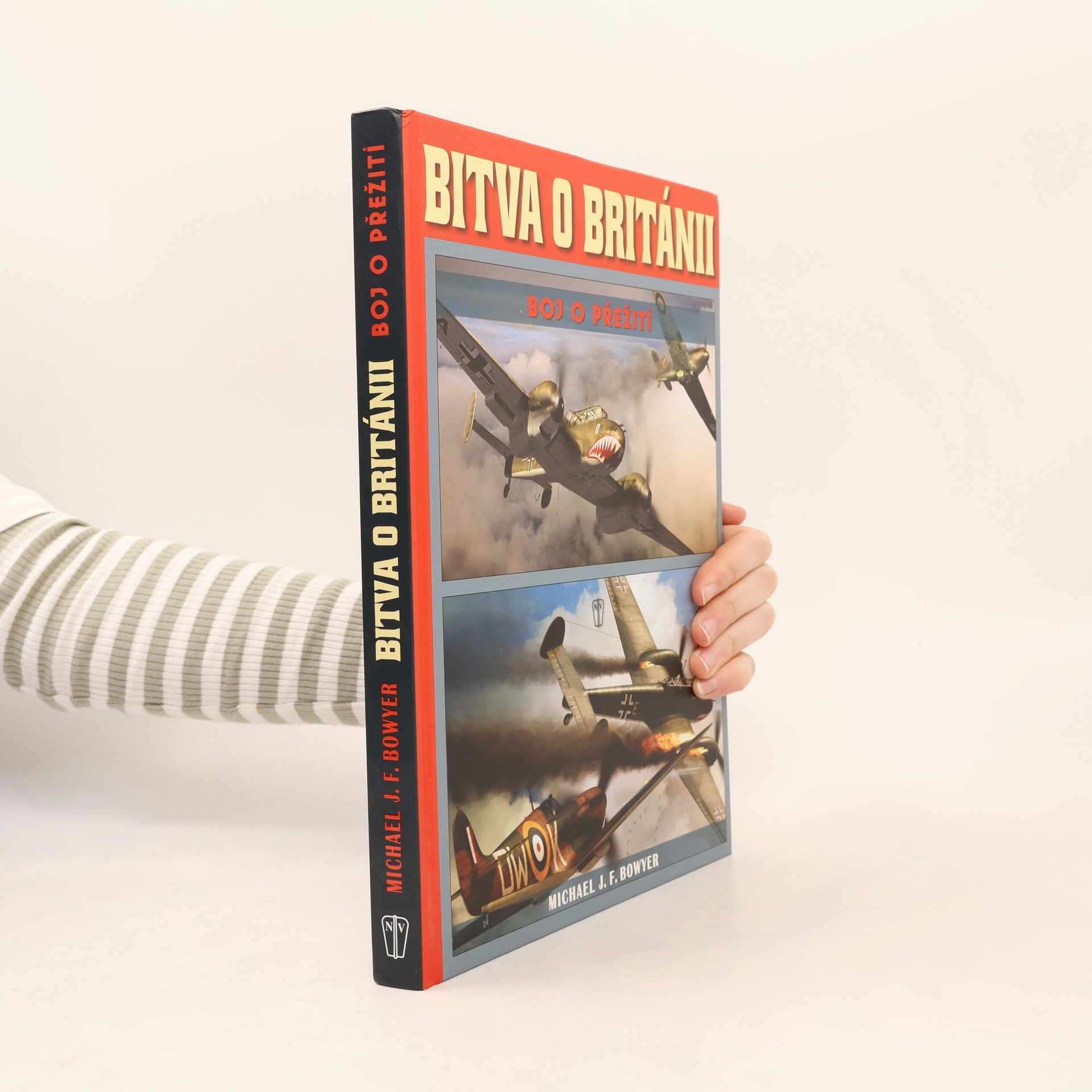 Michael J. F. Bowyer Bitva o Británii - Boj o přežití