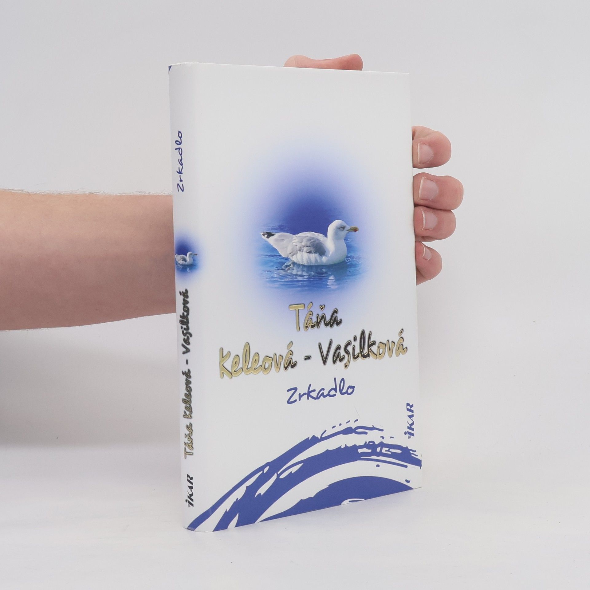 Táňa Keleová-Vasilková Zrkadlo