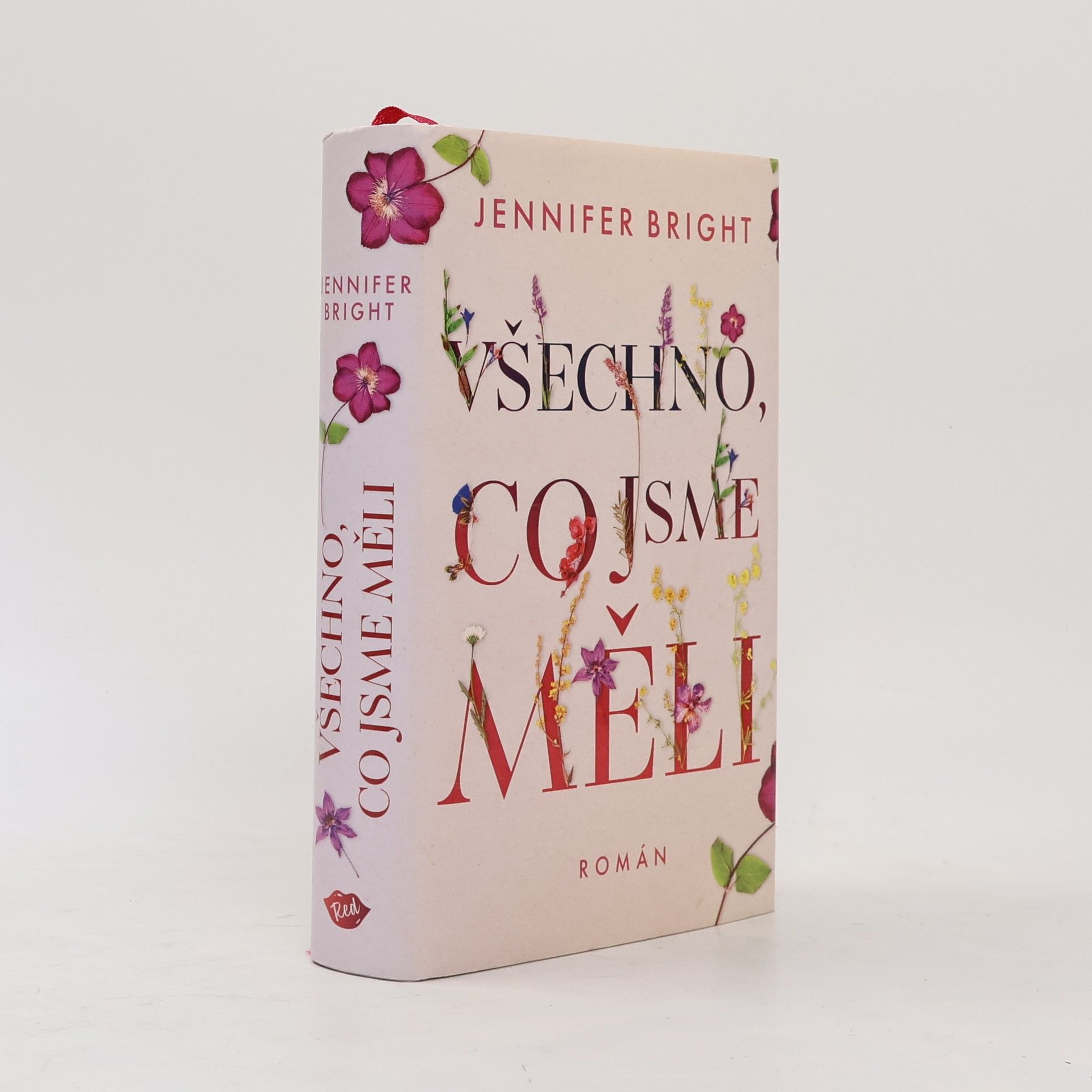 Jennifer Bright Všechno, co jsme měli