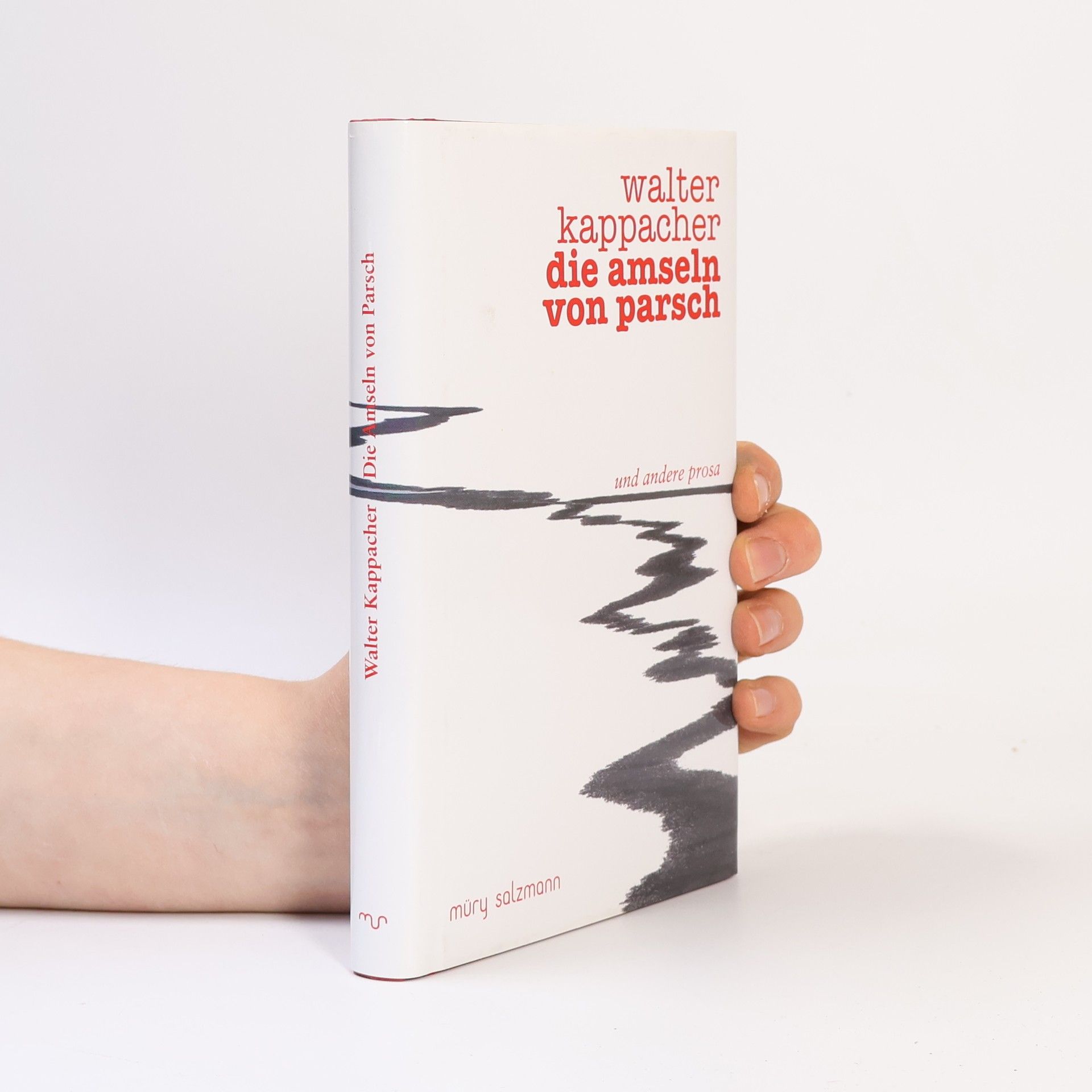Walter Kappacher Die Amseln von Parsch und andere Prosa