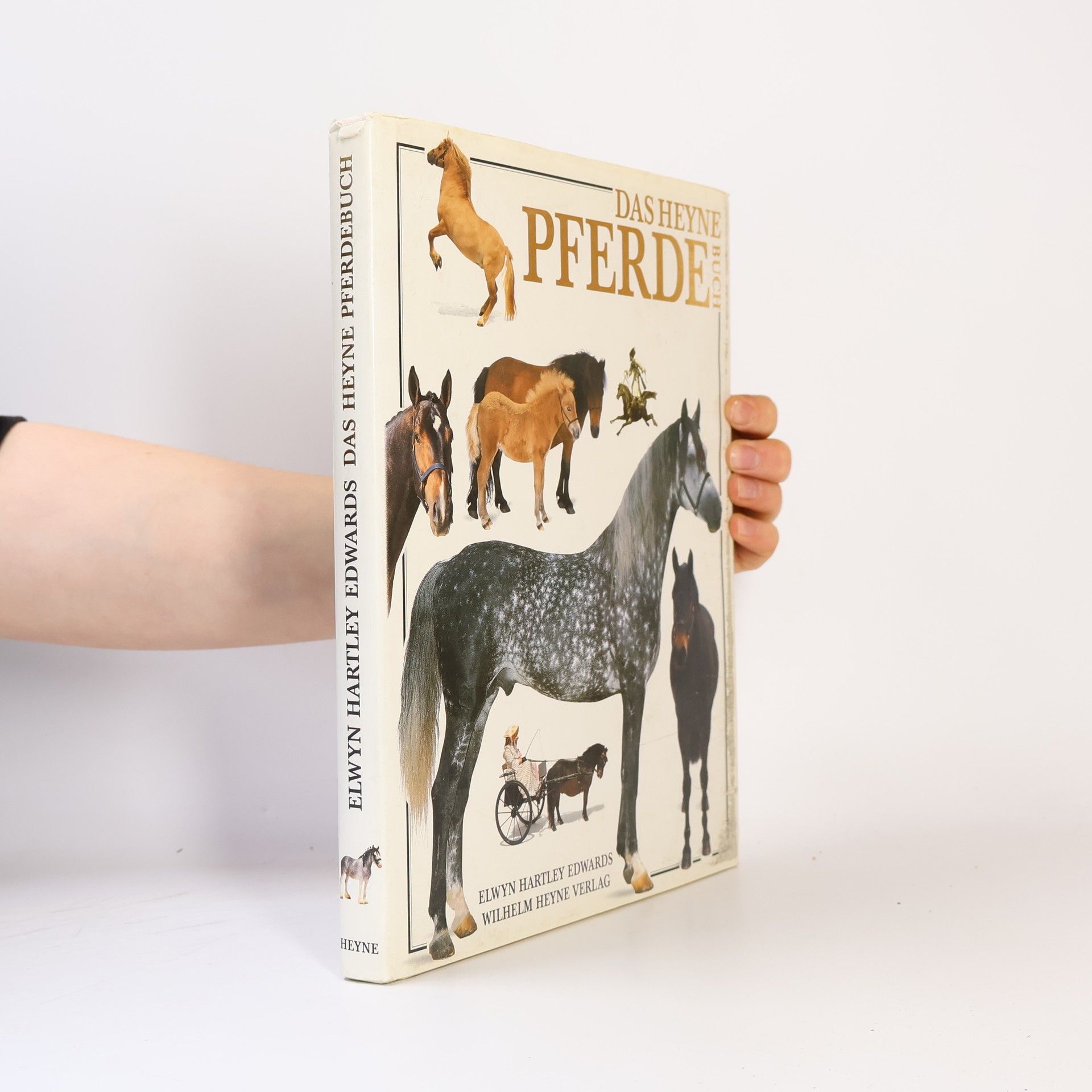 Elwyn Hartley Edwards Das Heyne-Pferde-Buch