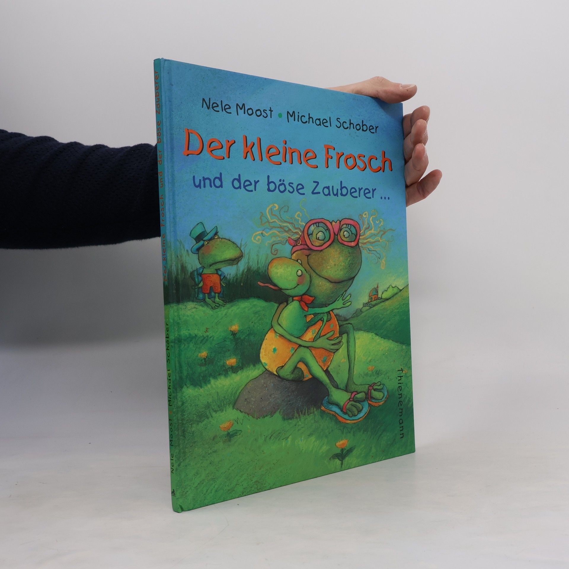 Nele Moost Der kleine Frosch und der böse Zauberer ... oder: wen man lieb hat, den erkennt man immer