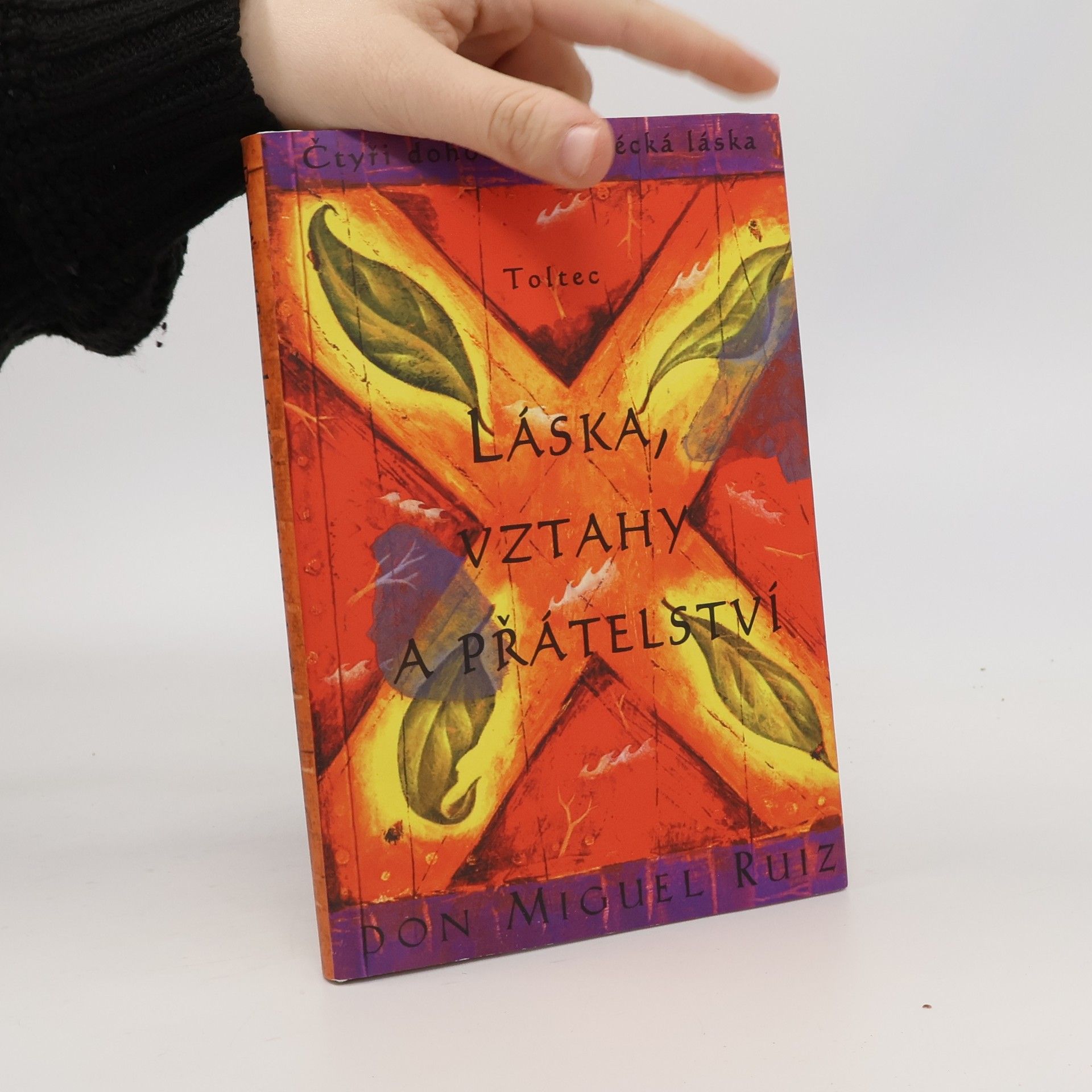 Don Miguel Ruiz Láska, vztahy a přátelství