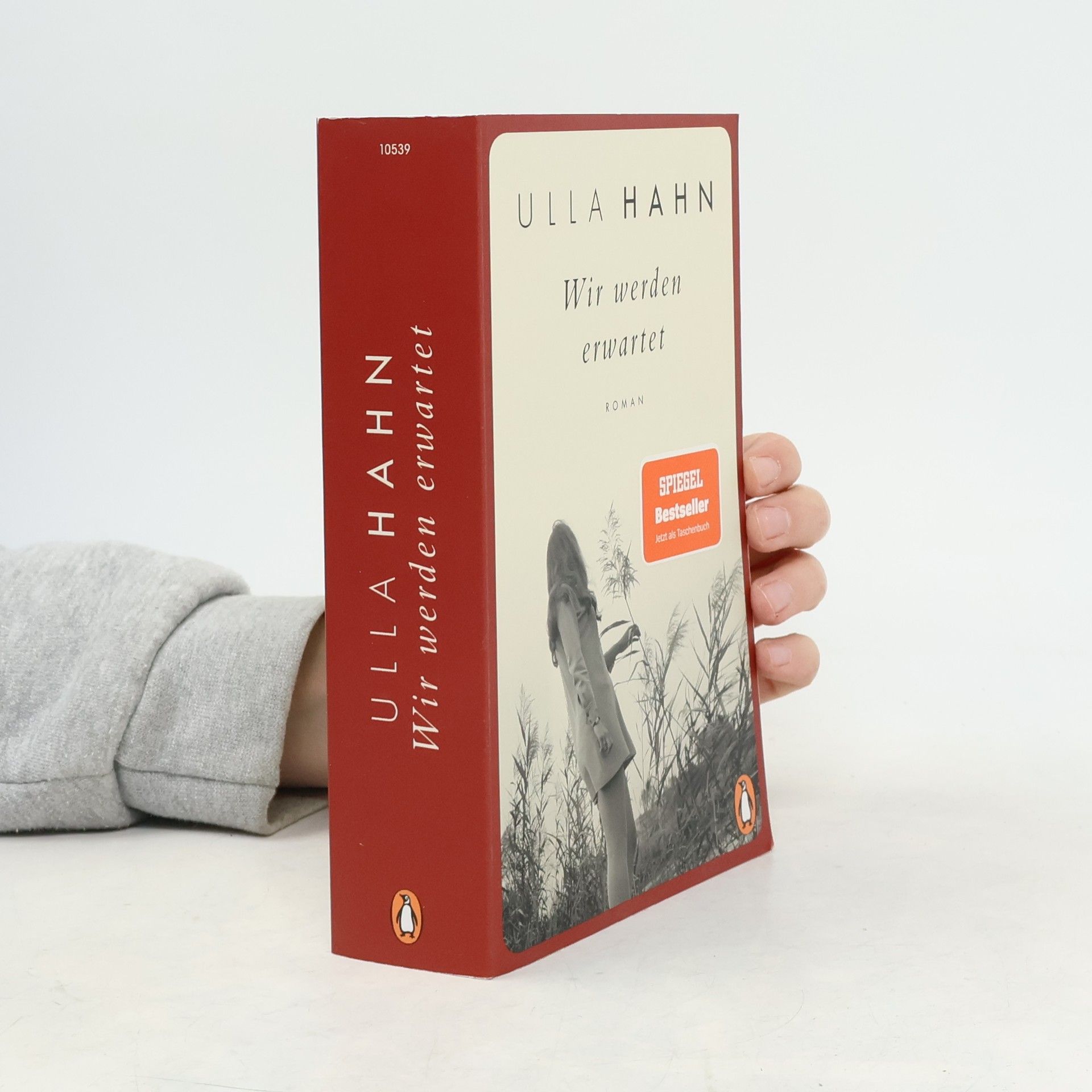 Ulla Hahn Wir werden erwartet