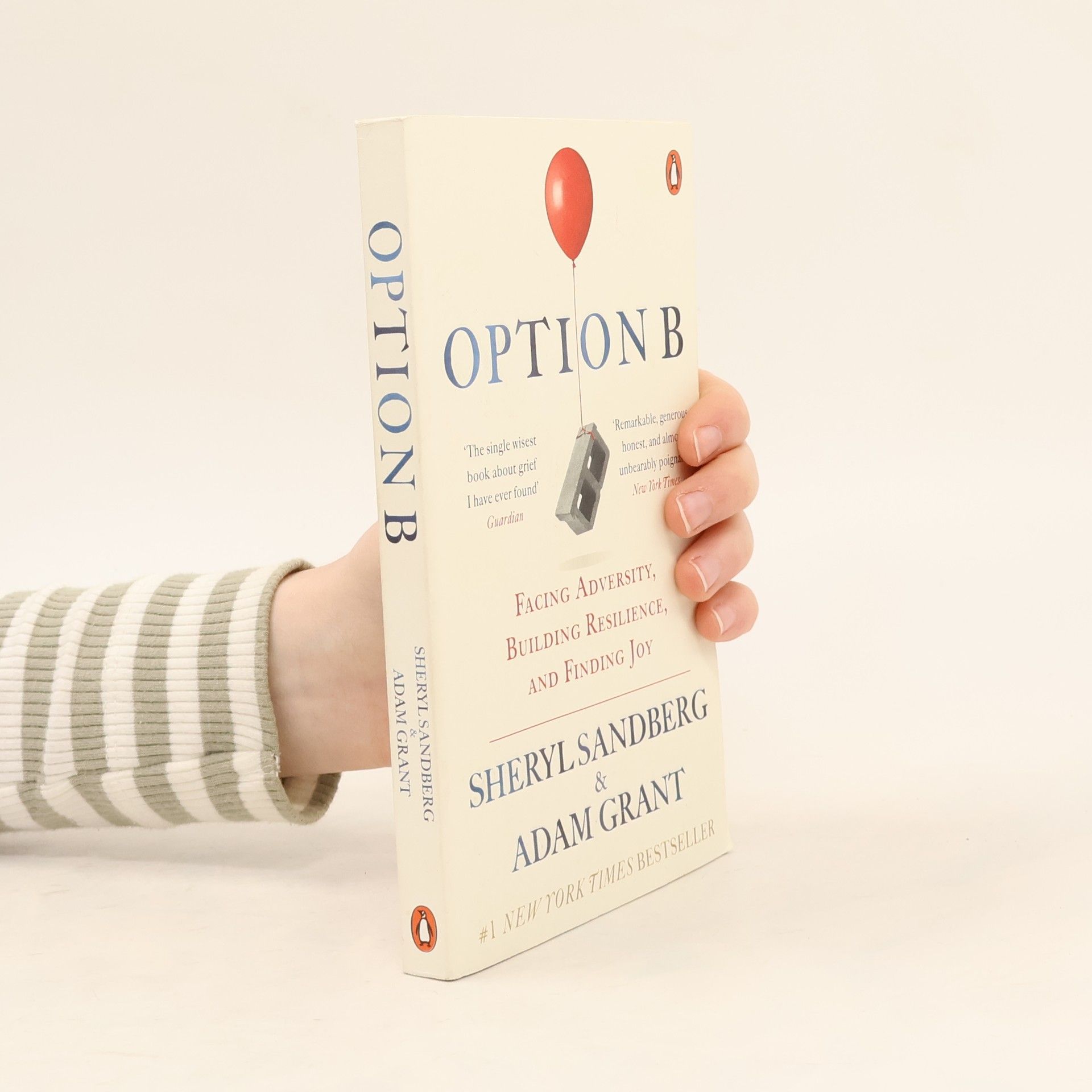 Sheryl Sandberg Option B