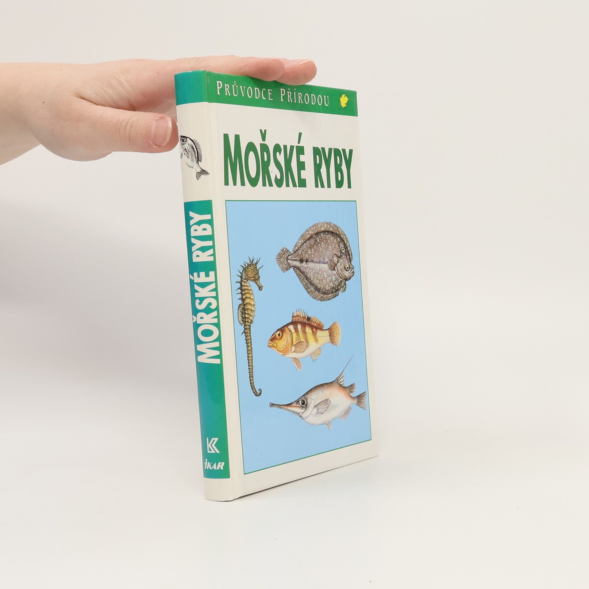 Frieder Sauer Mořské ryby v evropských vodách