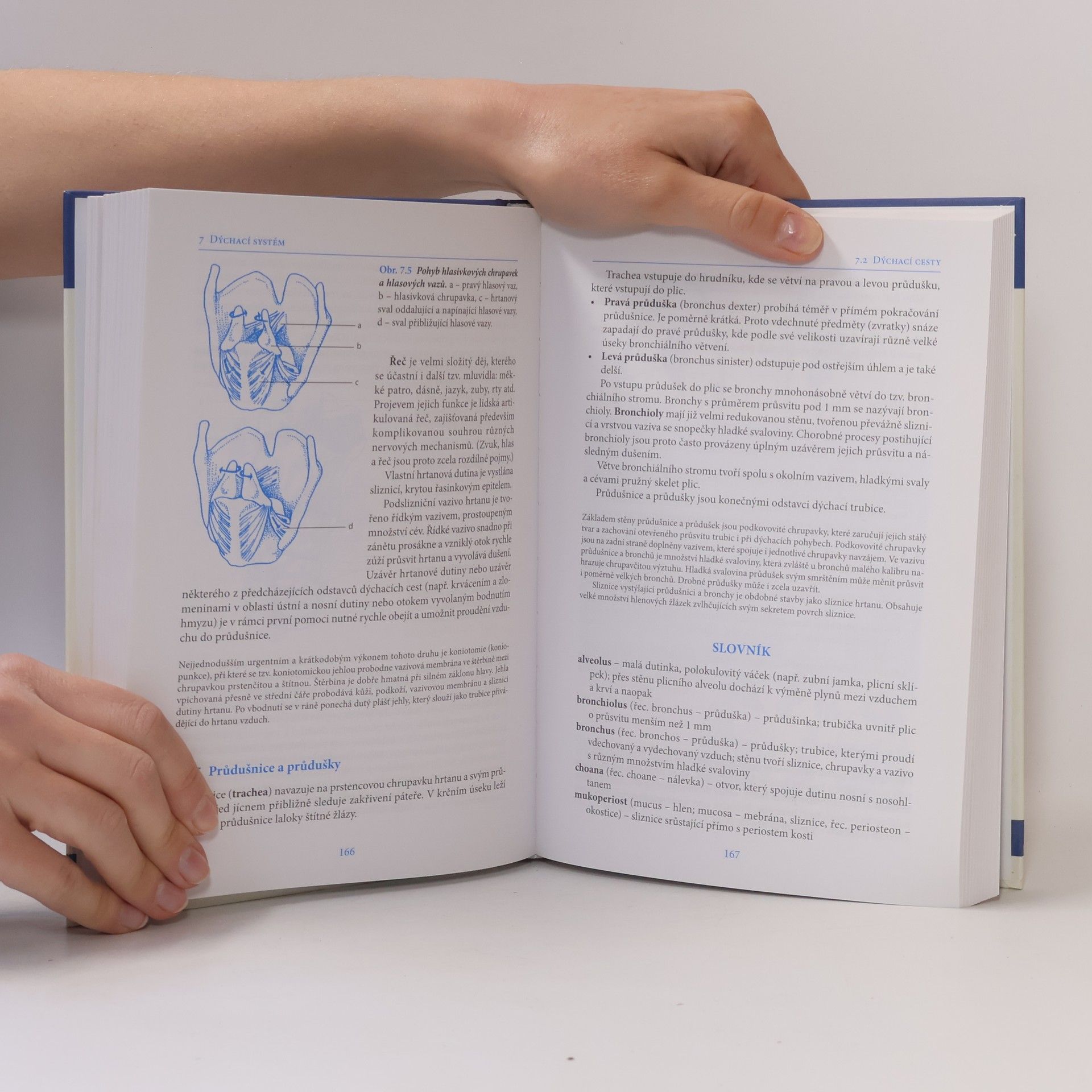 Ivan Dylevský Základy funkční anatomie
