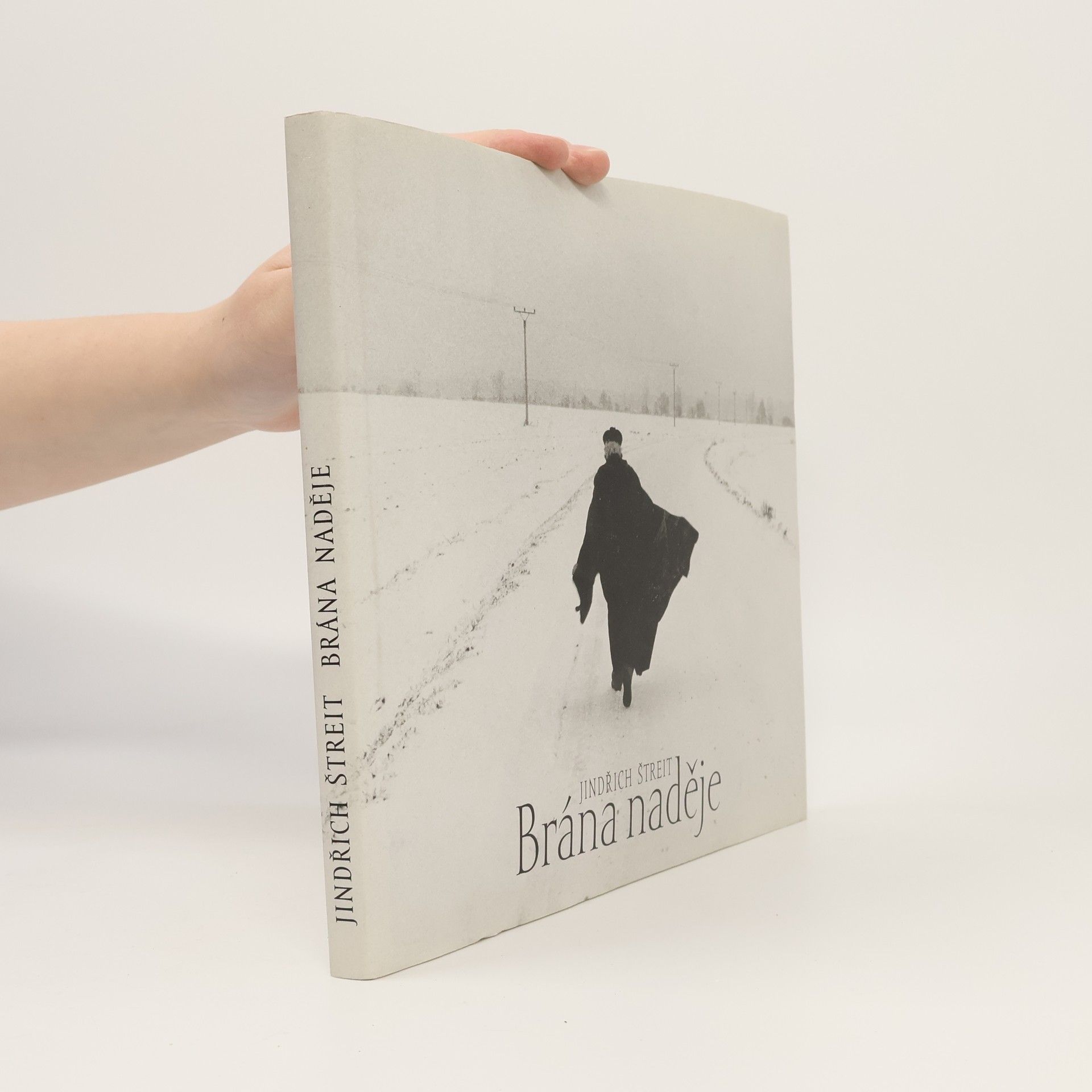 Jindřich Štreit Brána naděje