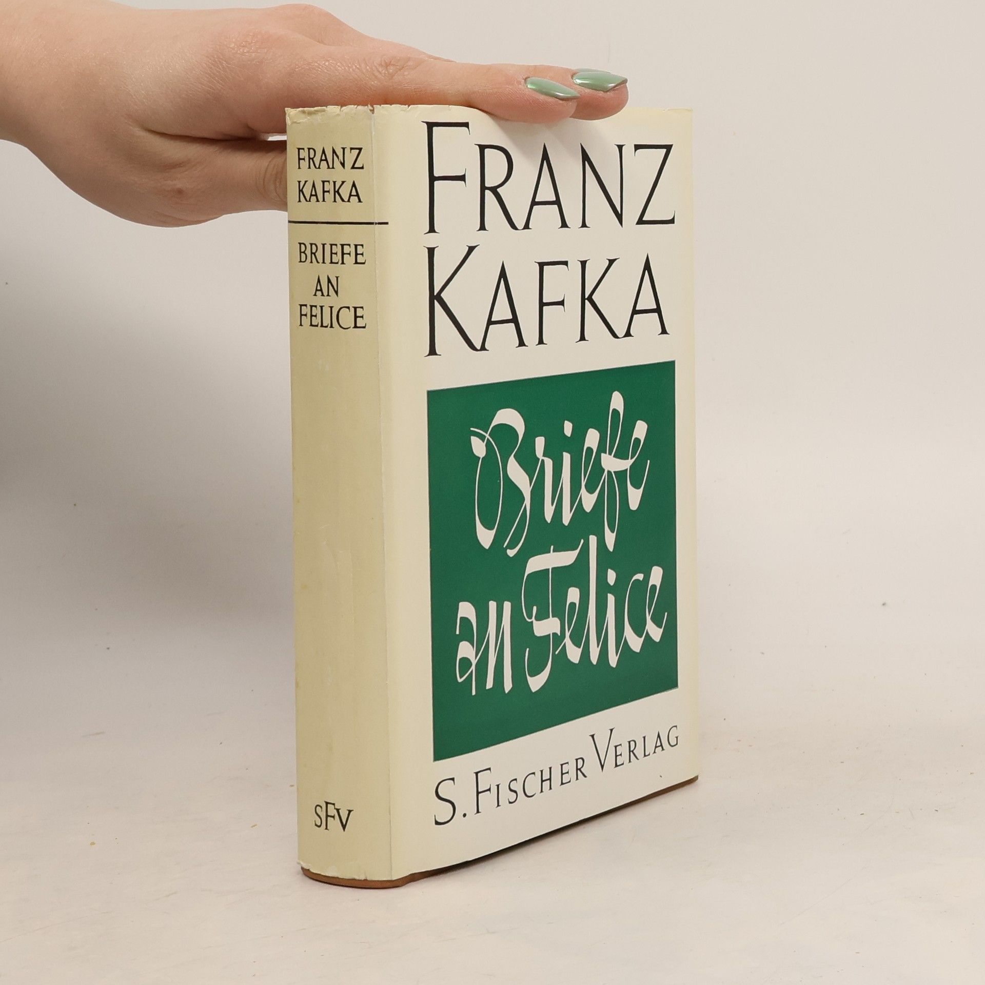 Franz Kafka Briefe an Felice